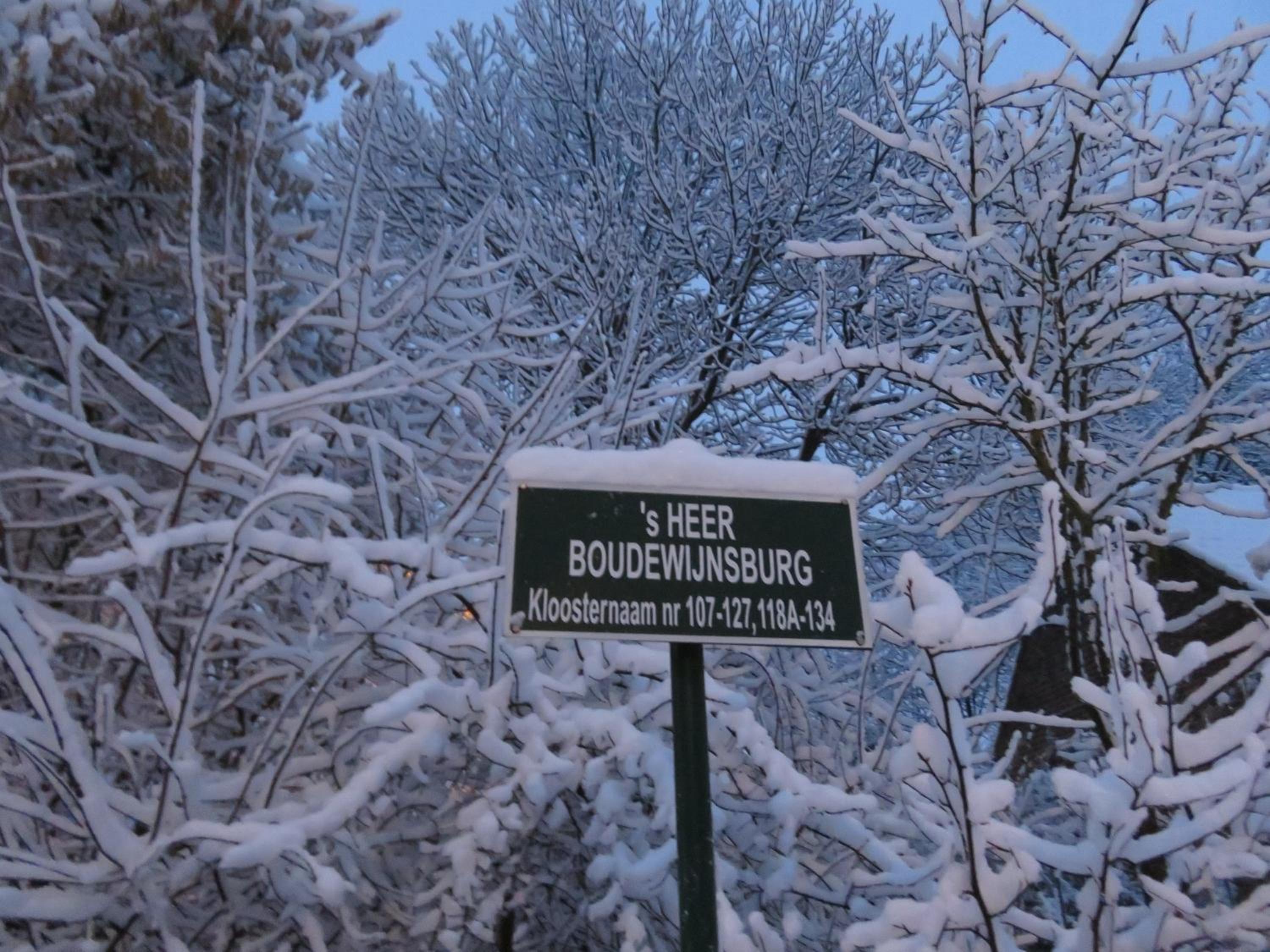 Bonnie