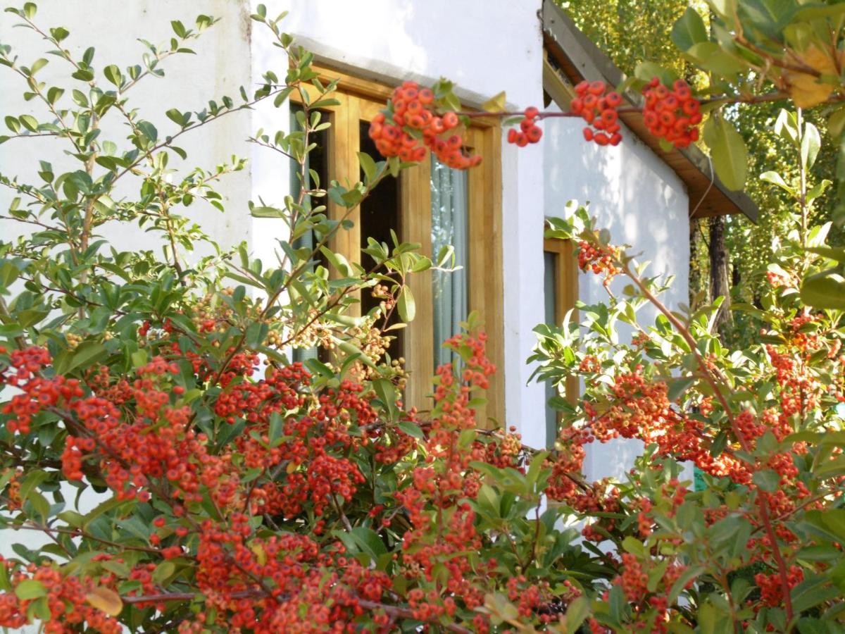 Los Abedules Bungalow