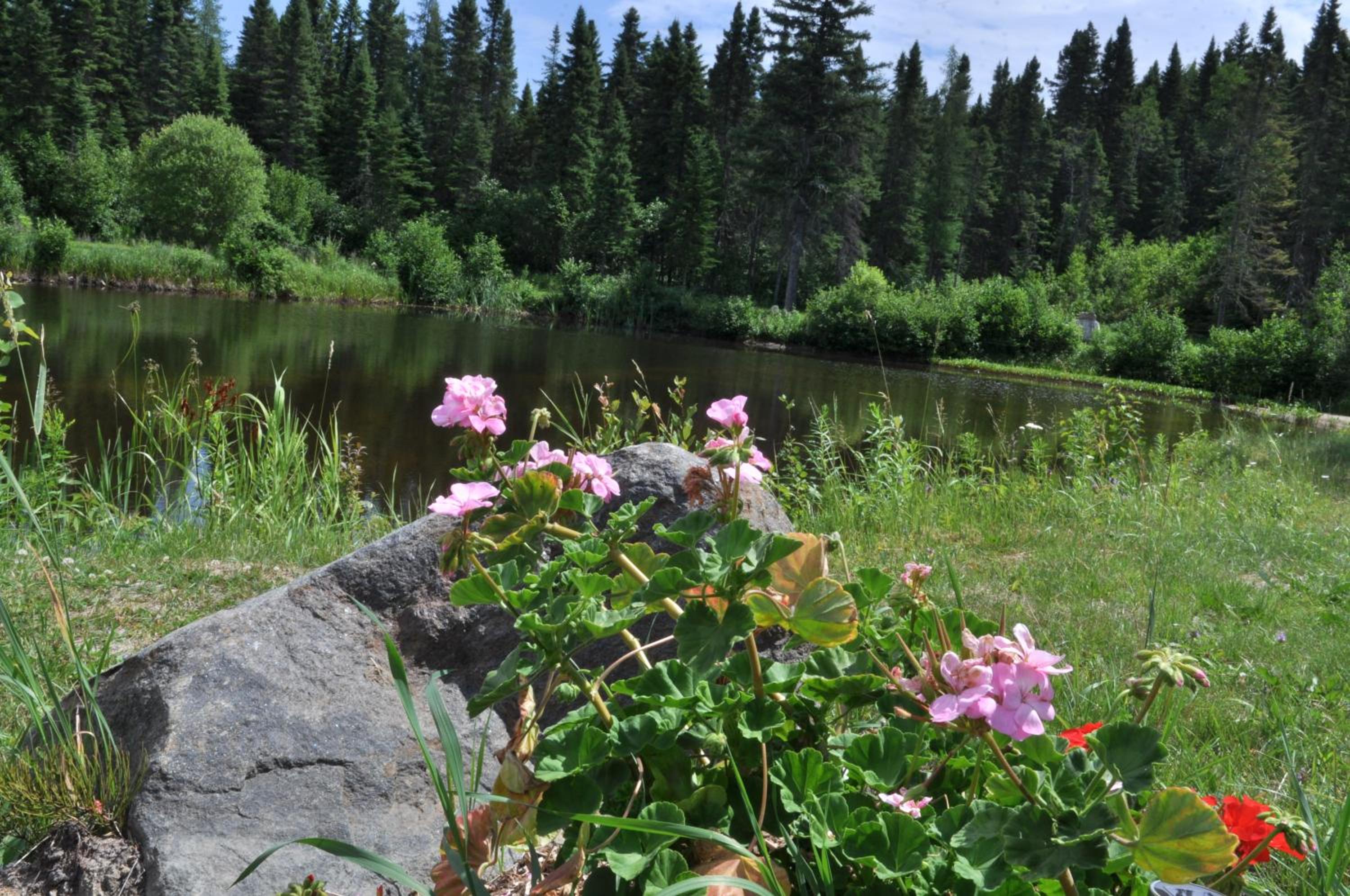 Gîte de la Montagne Enchantée