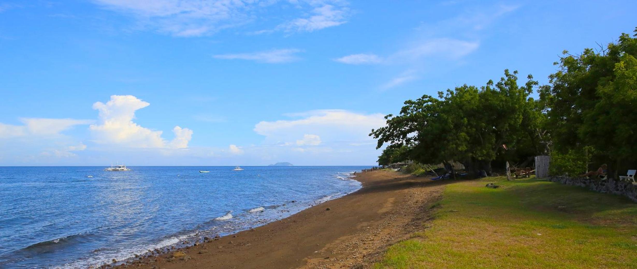 Liquid Dive Resort, Dauin - 22
