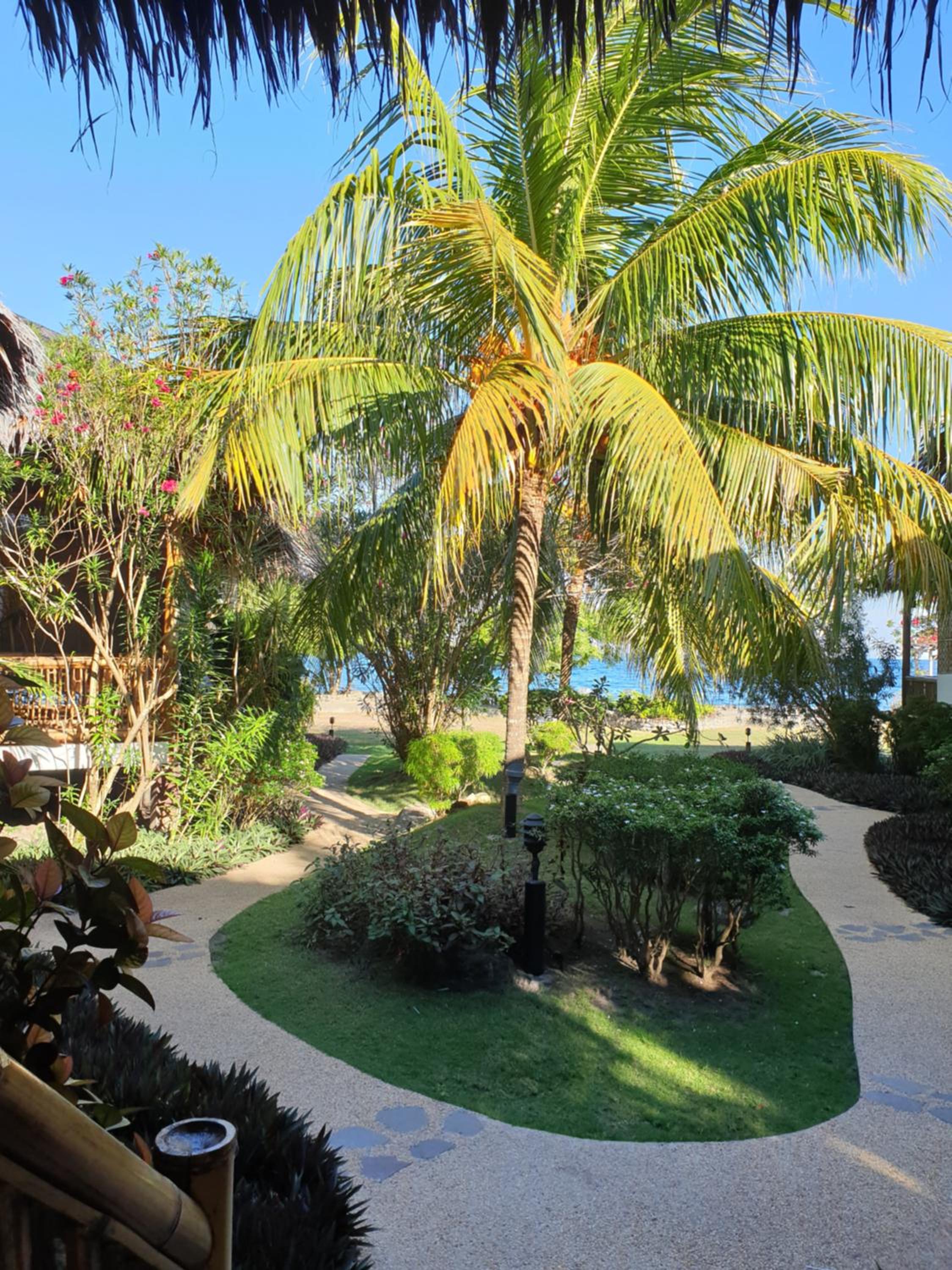 Liquid Dive Resort, Dauin - 23