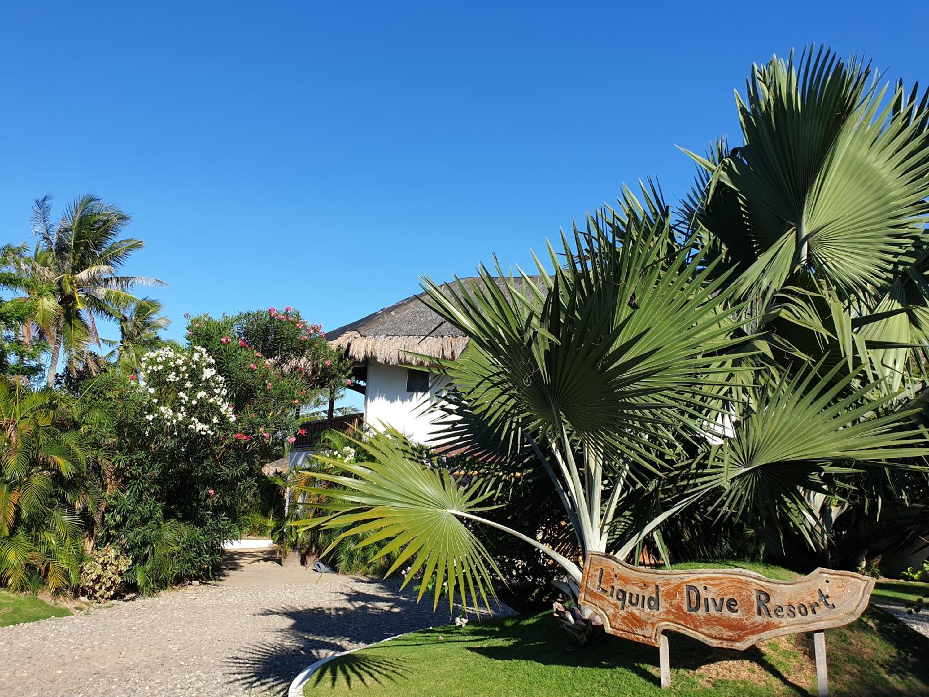 Liquid Dive Resort, Dauin - 20