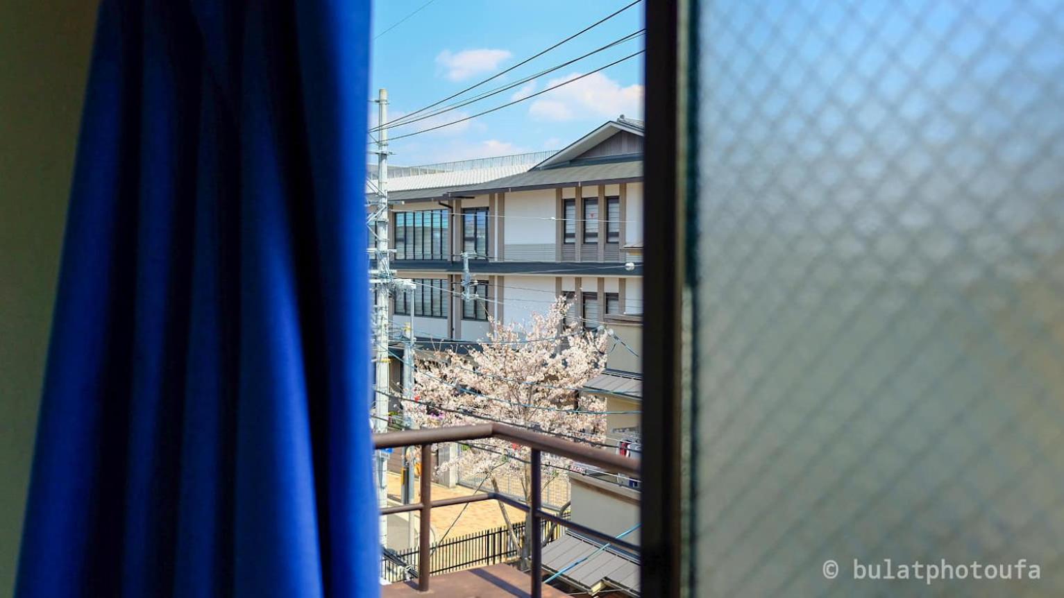 Peace House Sakura