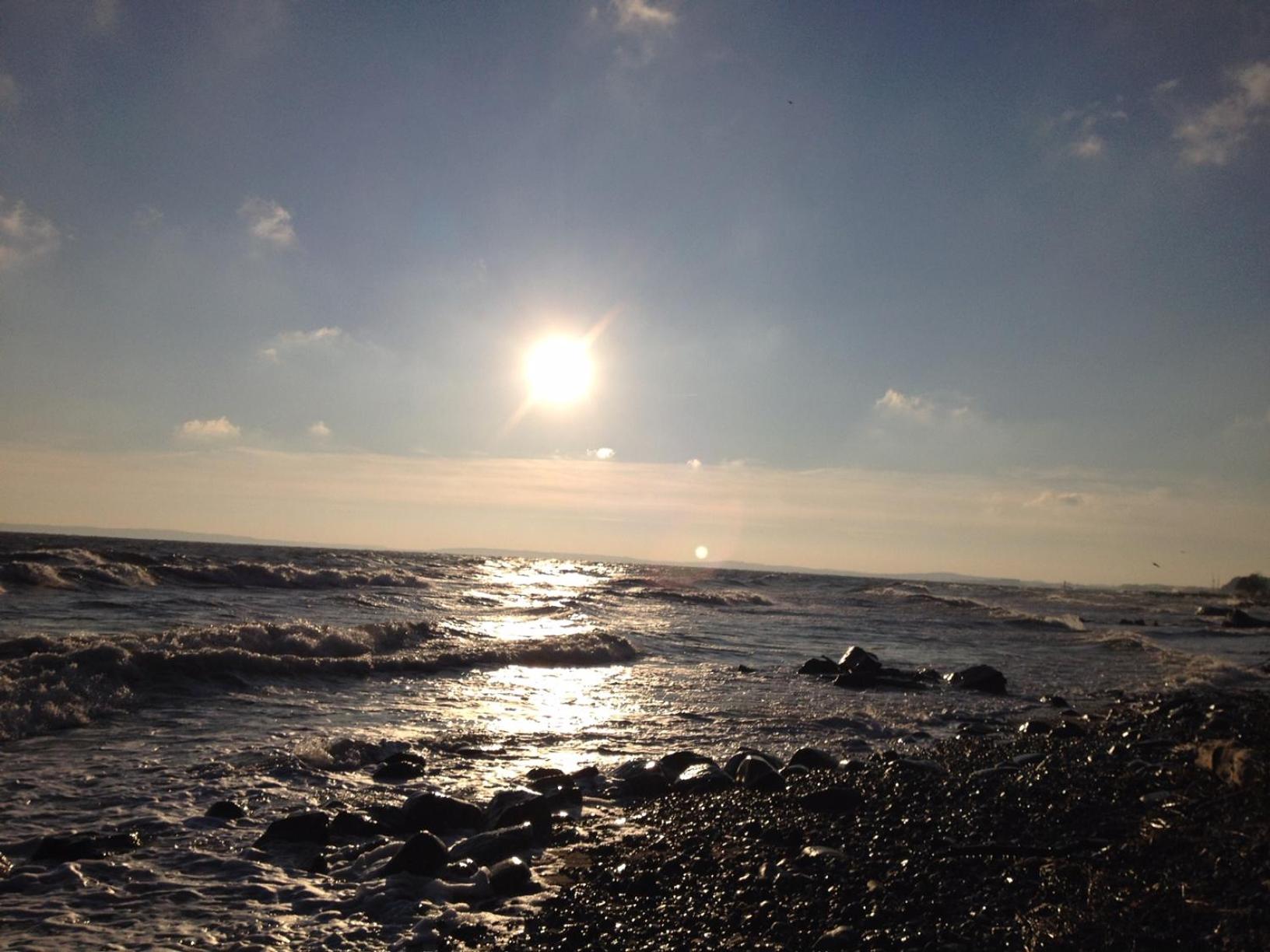Photo 49