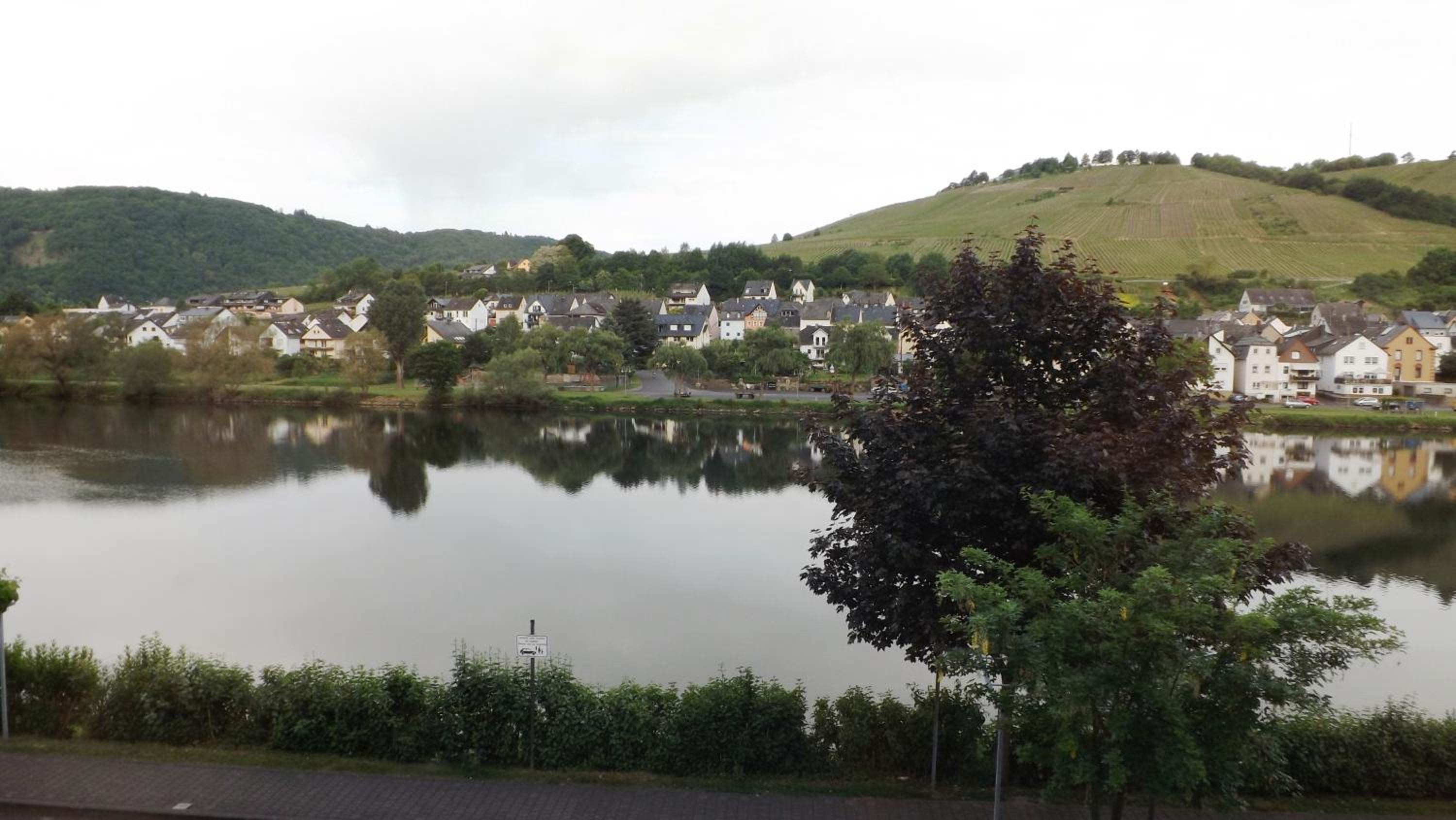Mosel Panorama