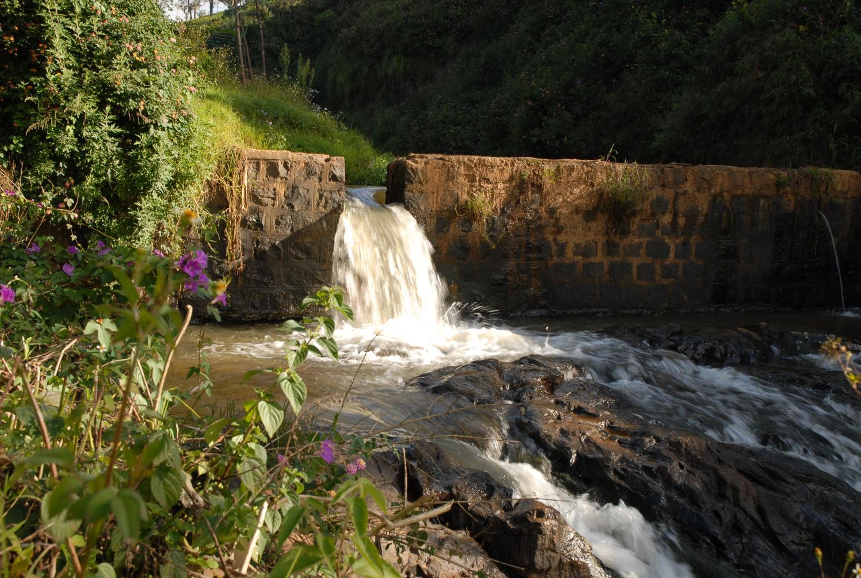 Rustling River Resort