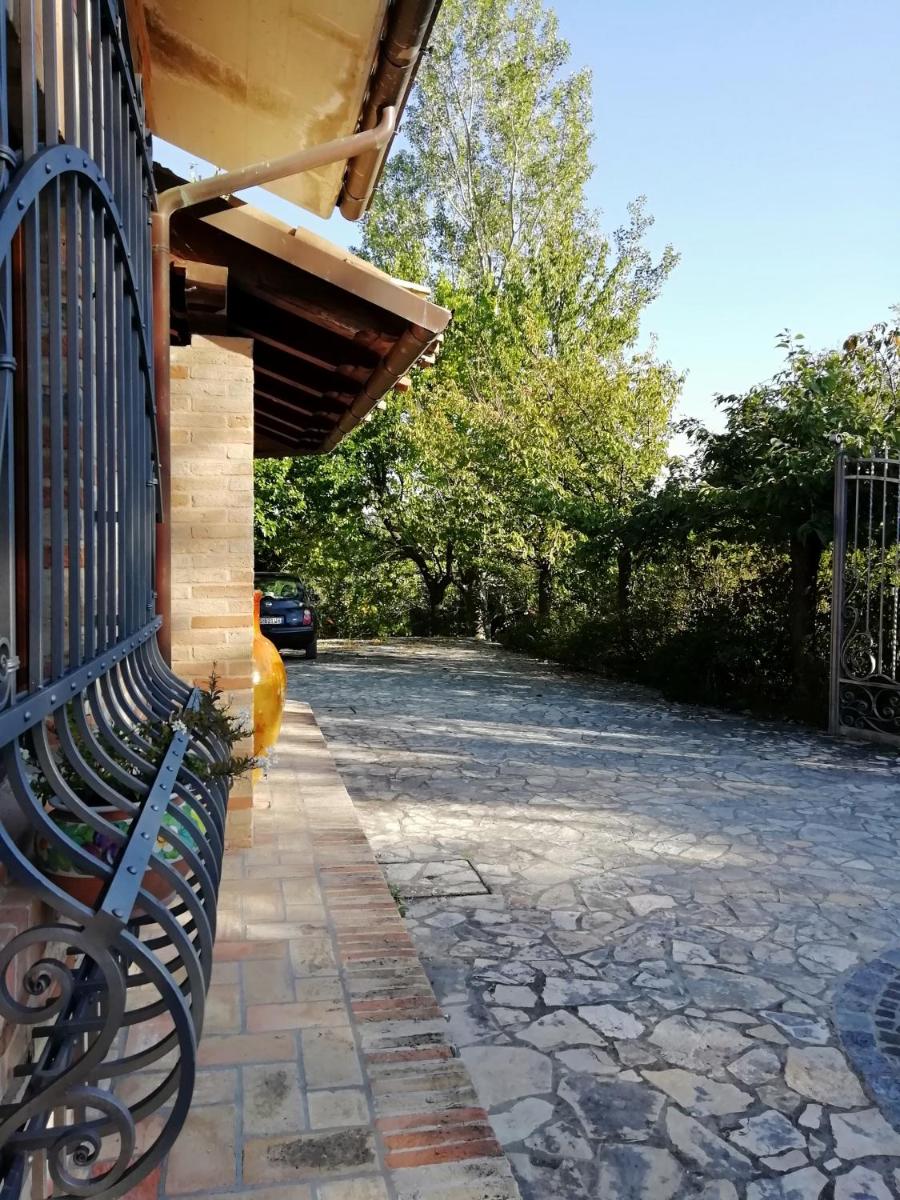 Photo 21