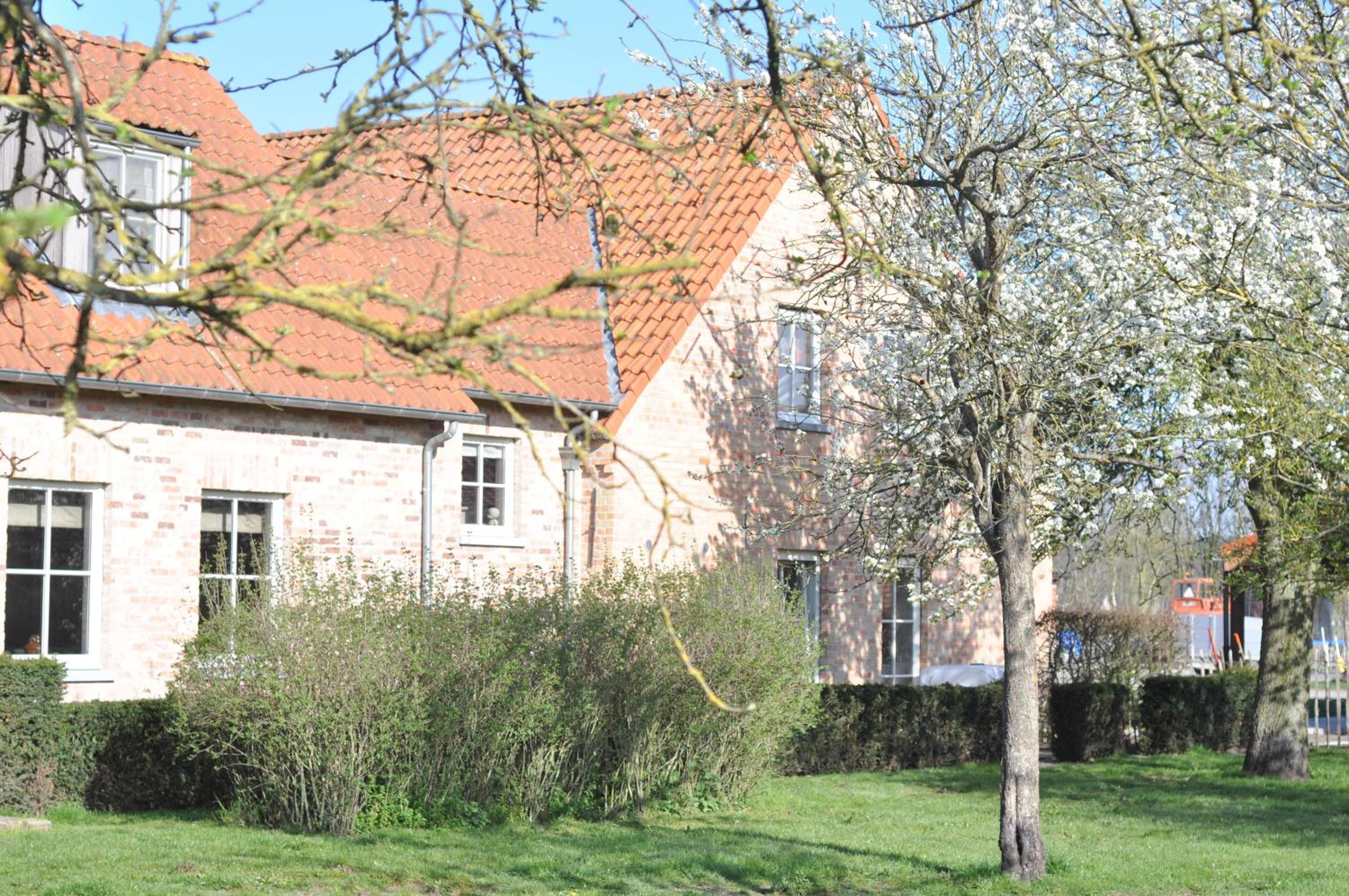 Wilgenwind