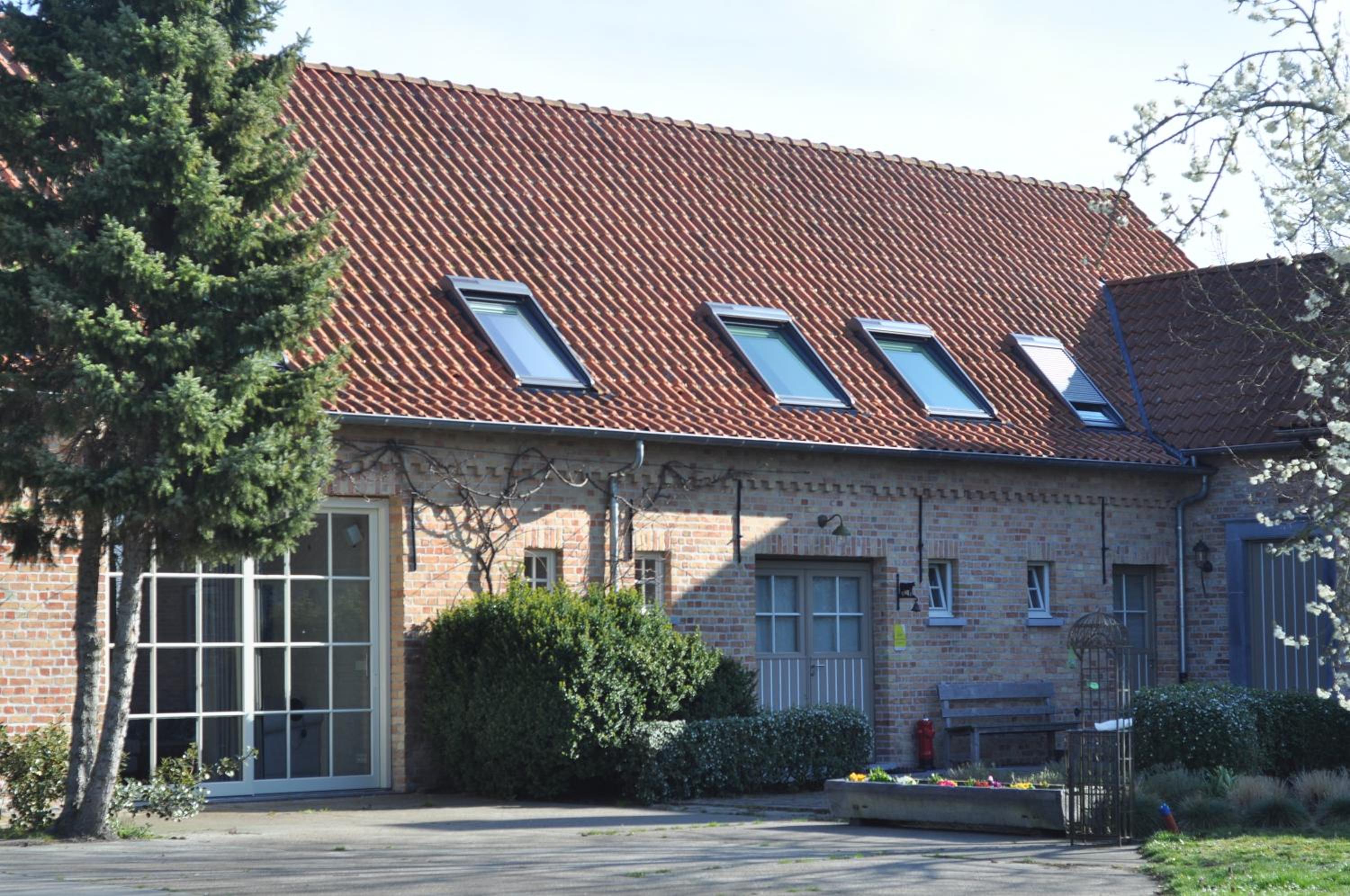 Wilgenwind