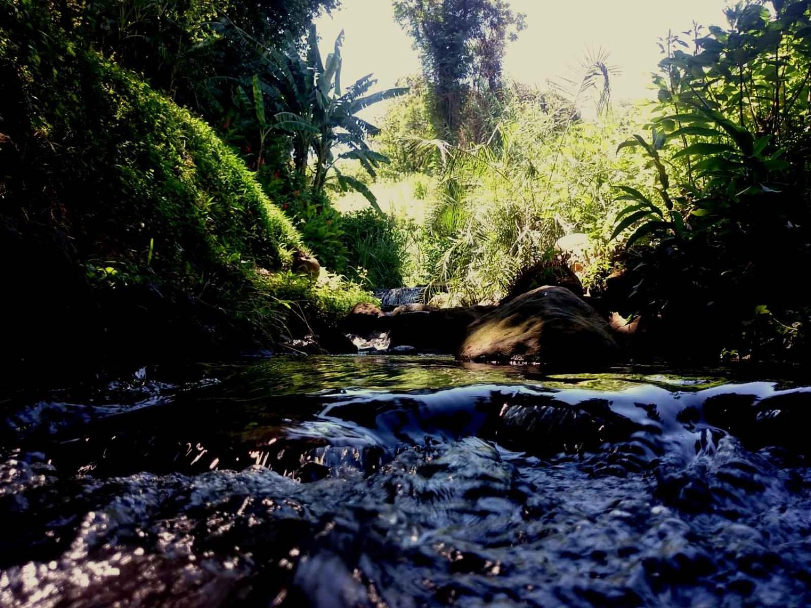 Africa's Eden Guesthouse