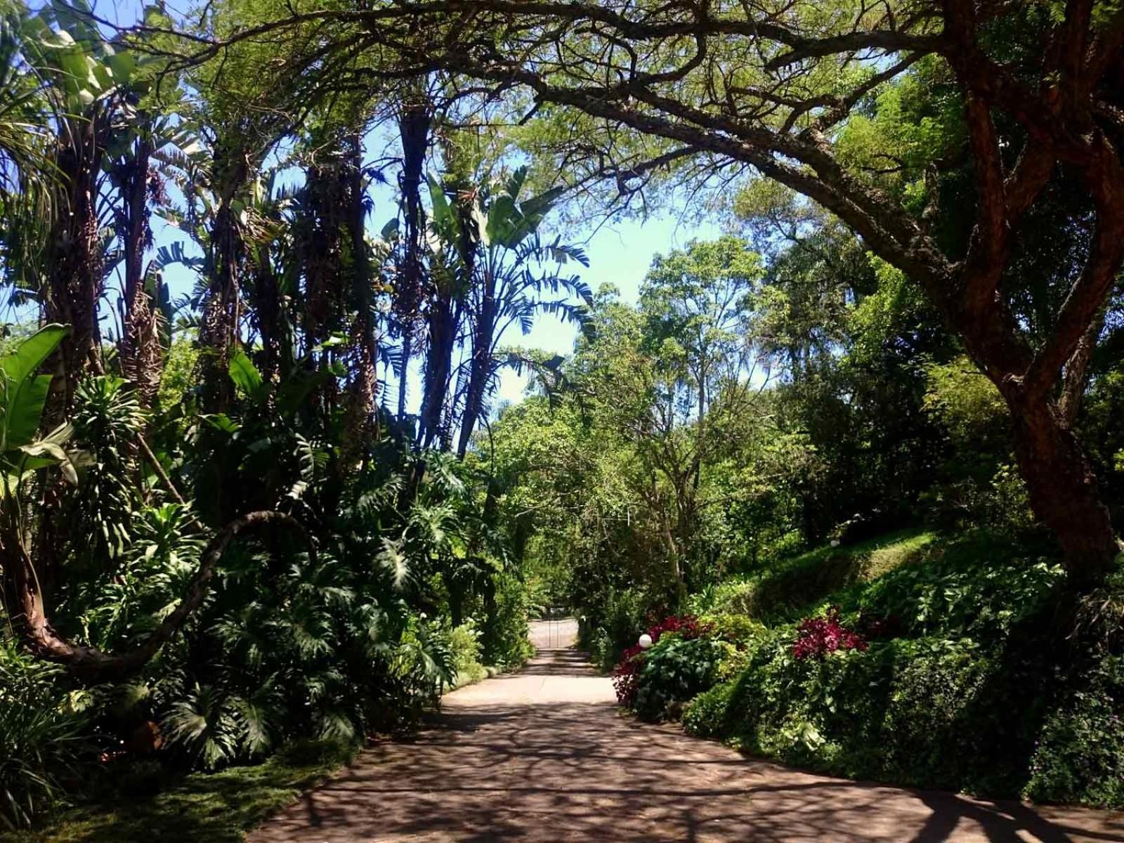 Africa's Eden Guesthouse