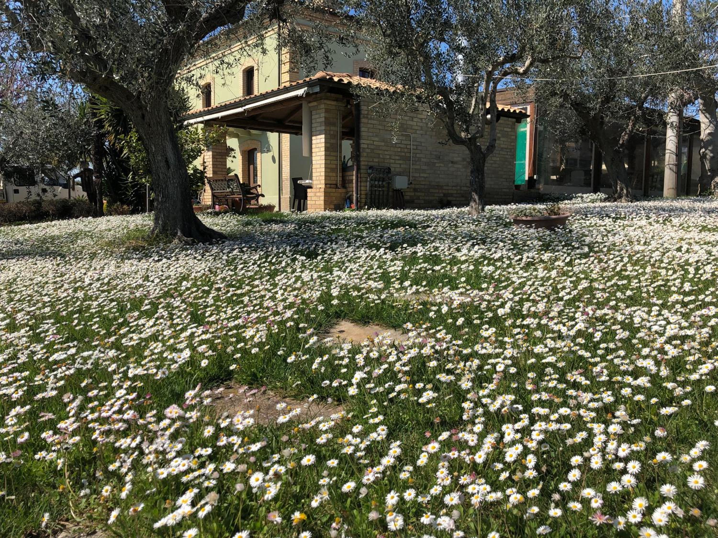 Agriturismo Villa Vetiche view 3