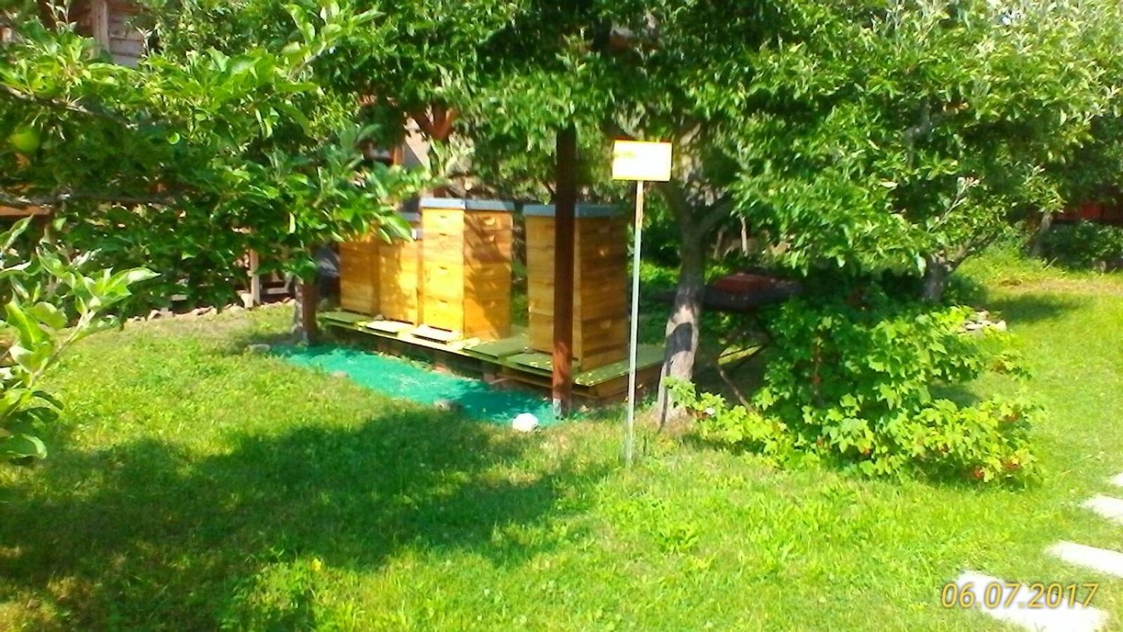 Photo 36