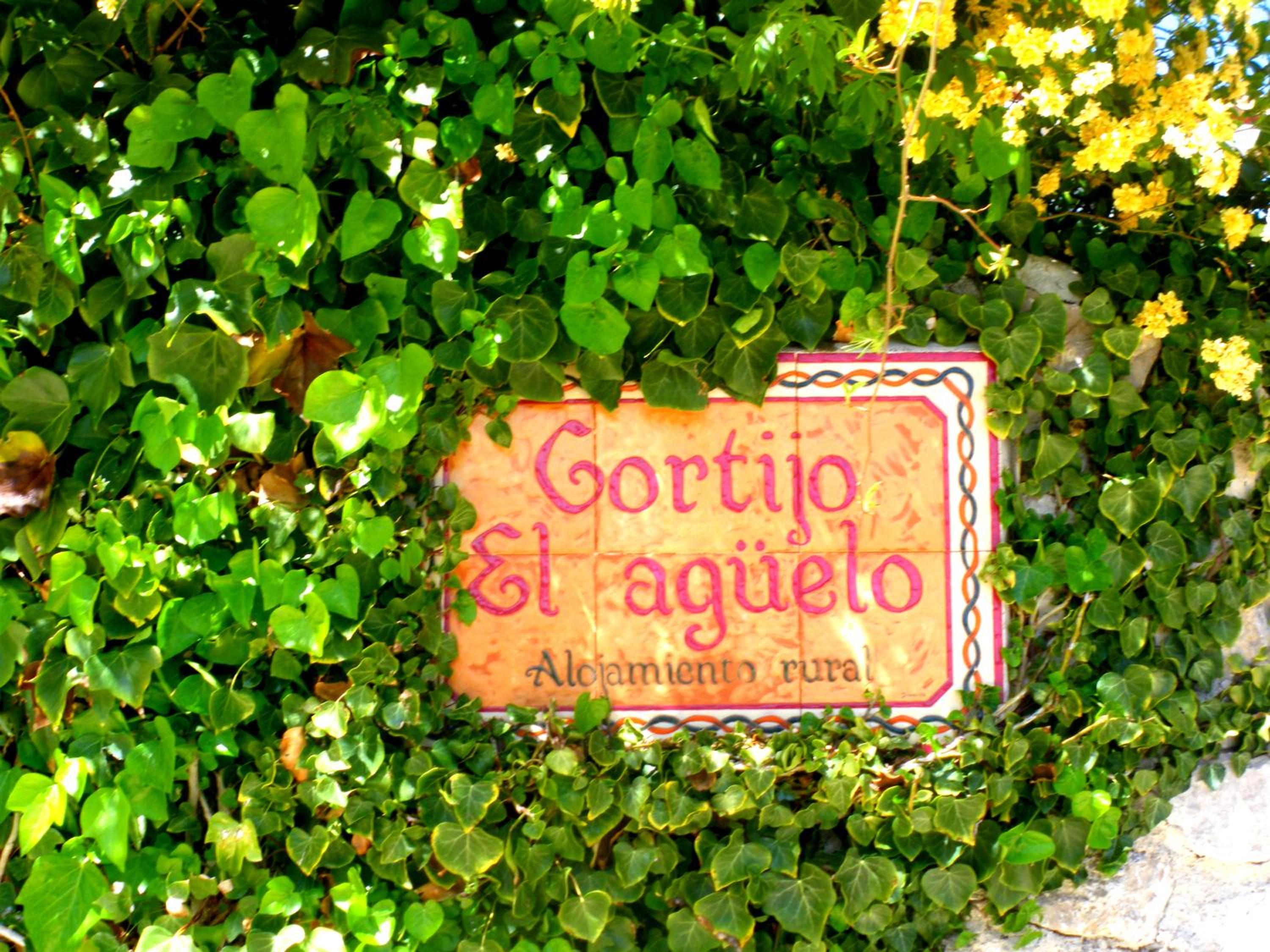 Alojamiento rural El Agüelo view 3