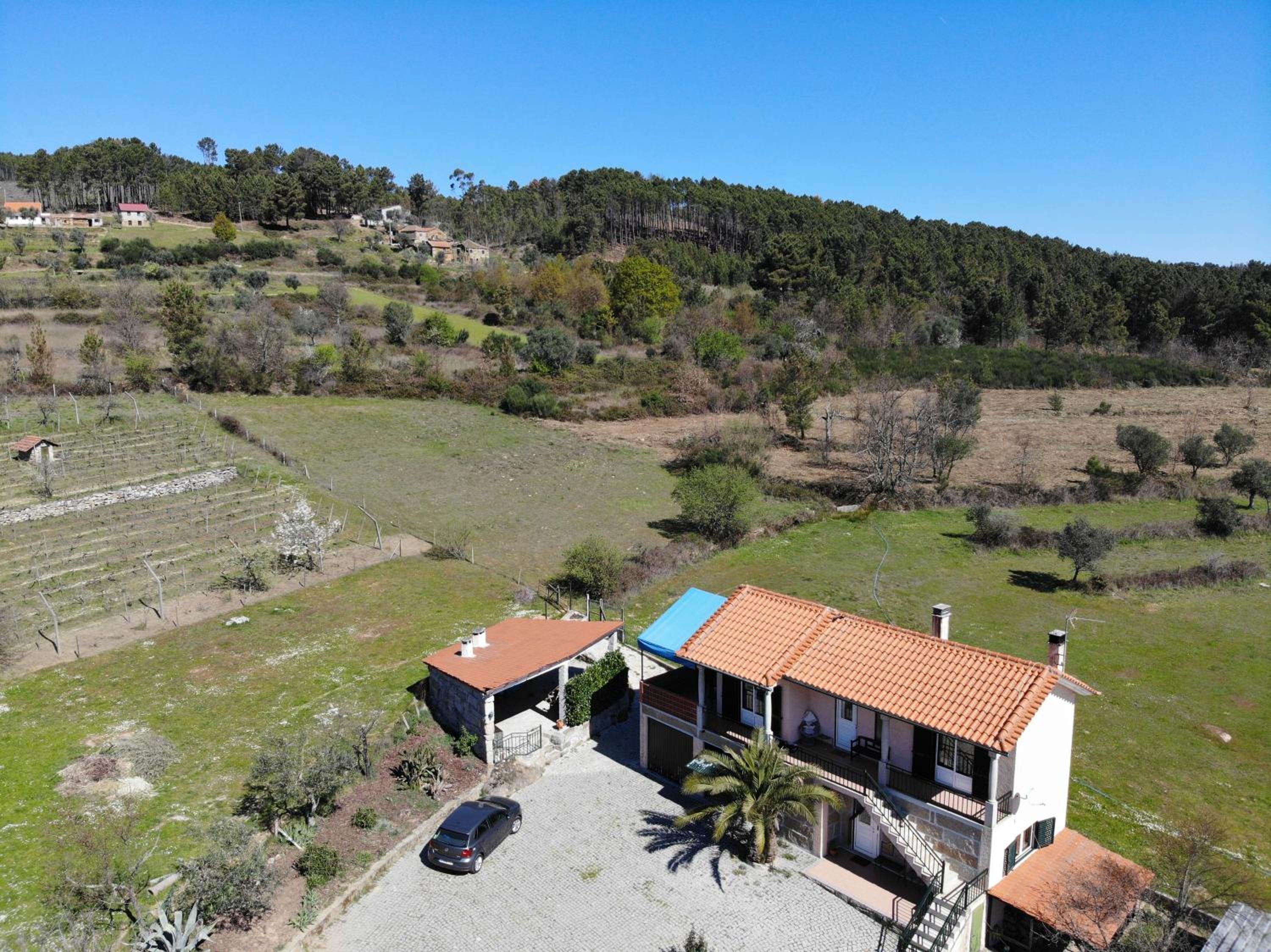 Quinta do Mineiro-Serra da Estrela view 4