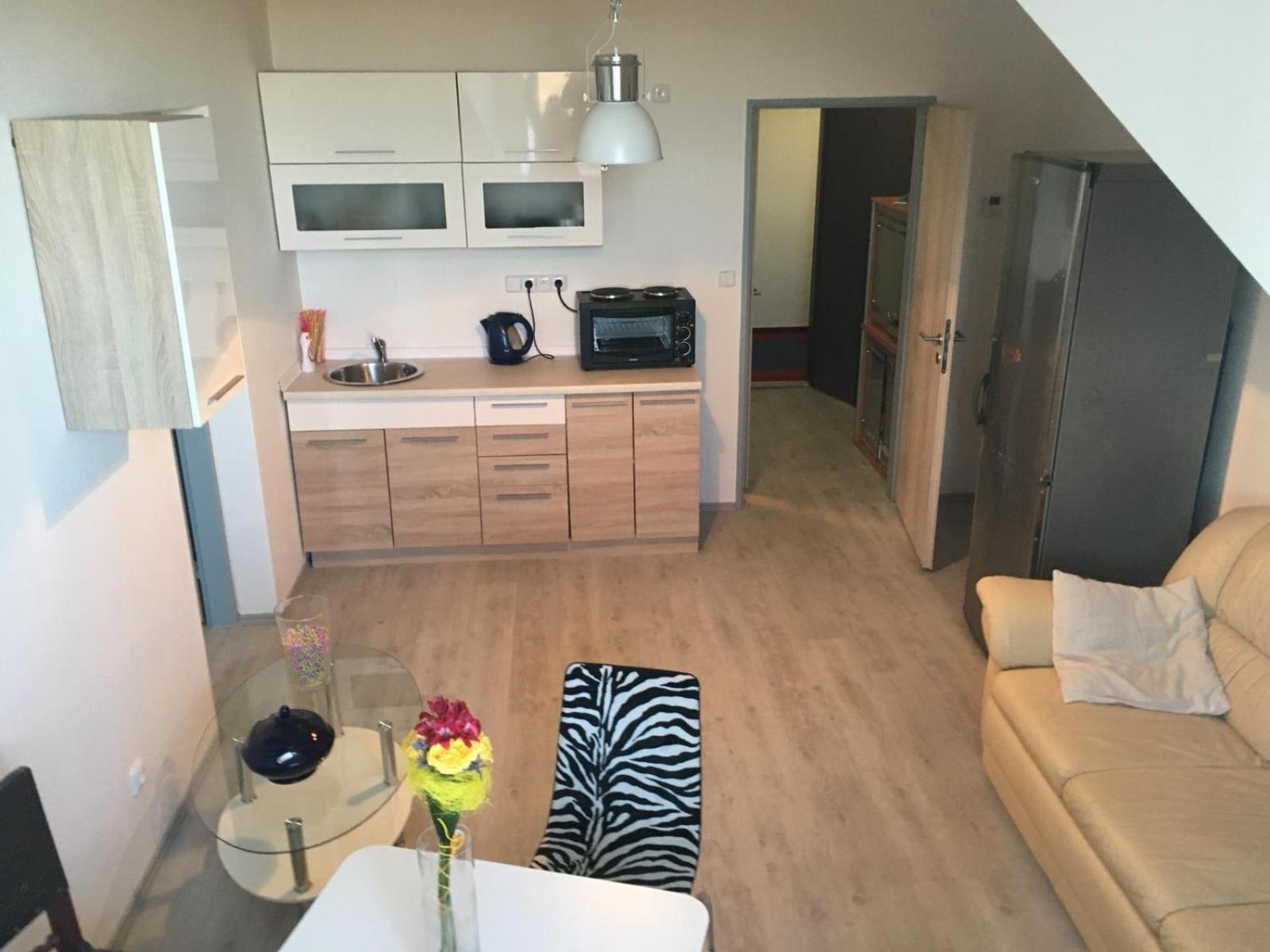 Apartment at Harmonie Třeboň