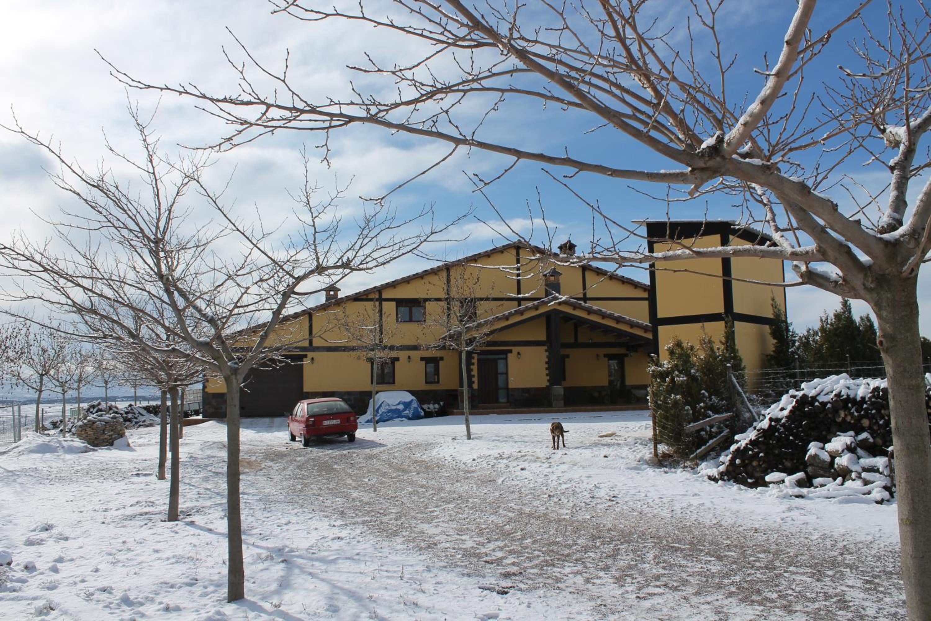 Photo 17