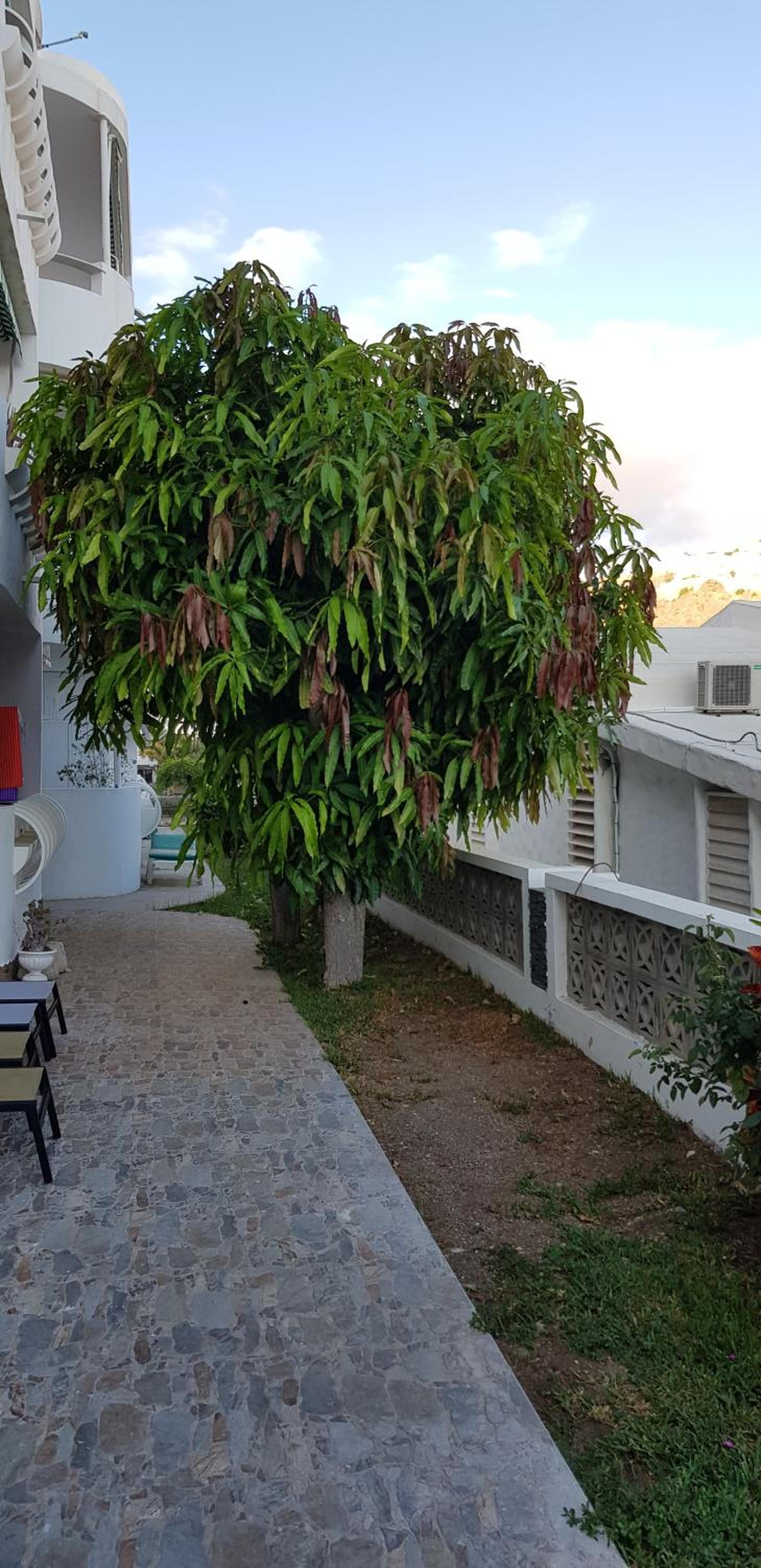 Luxury 2 bedroom APT 50 m from beach view 2