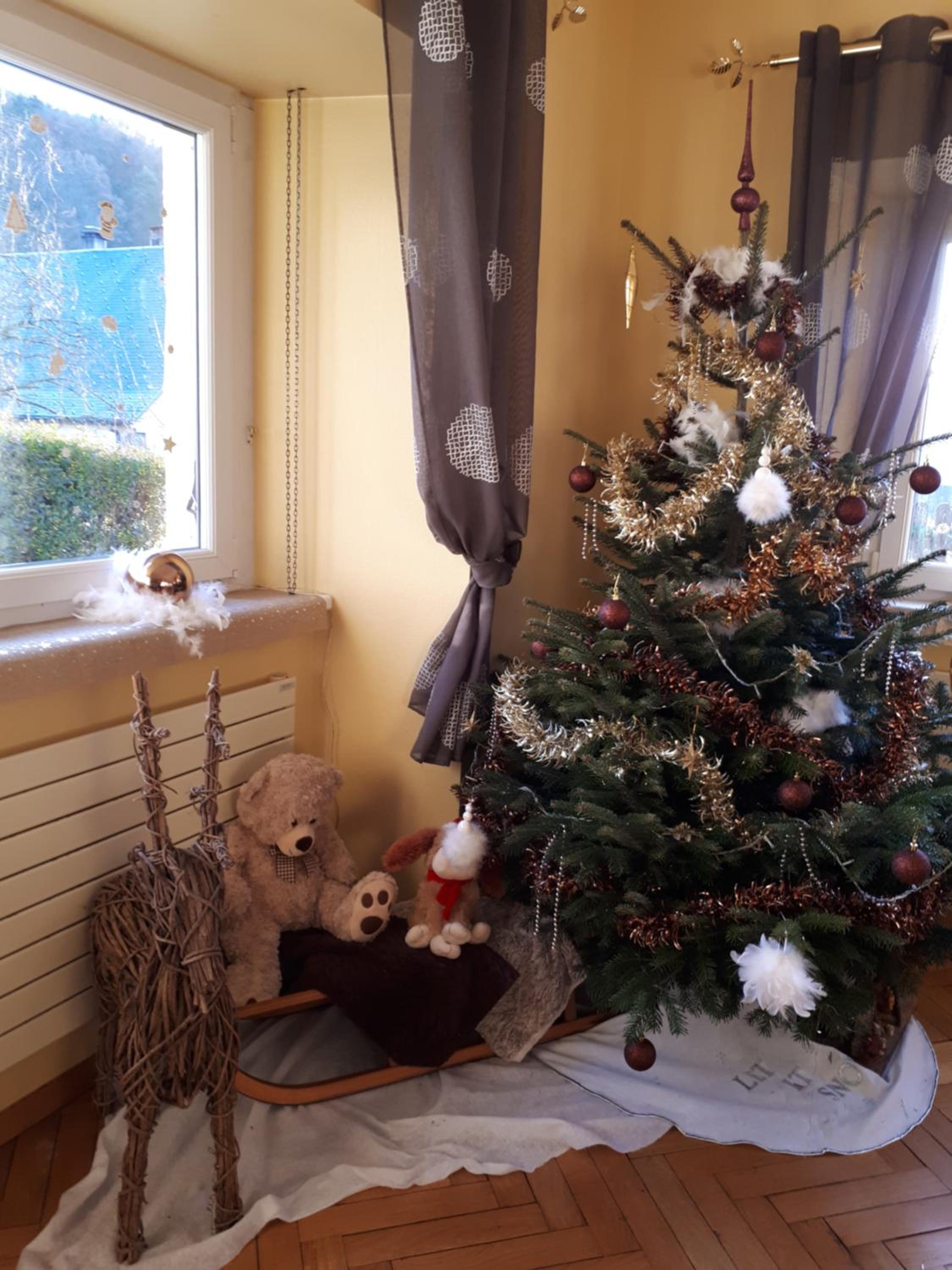 Photo 21