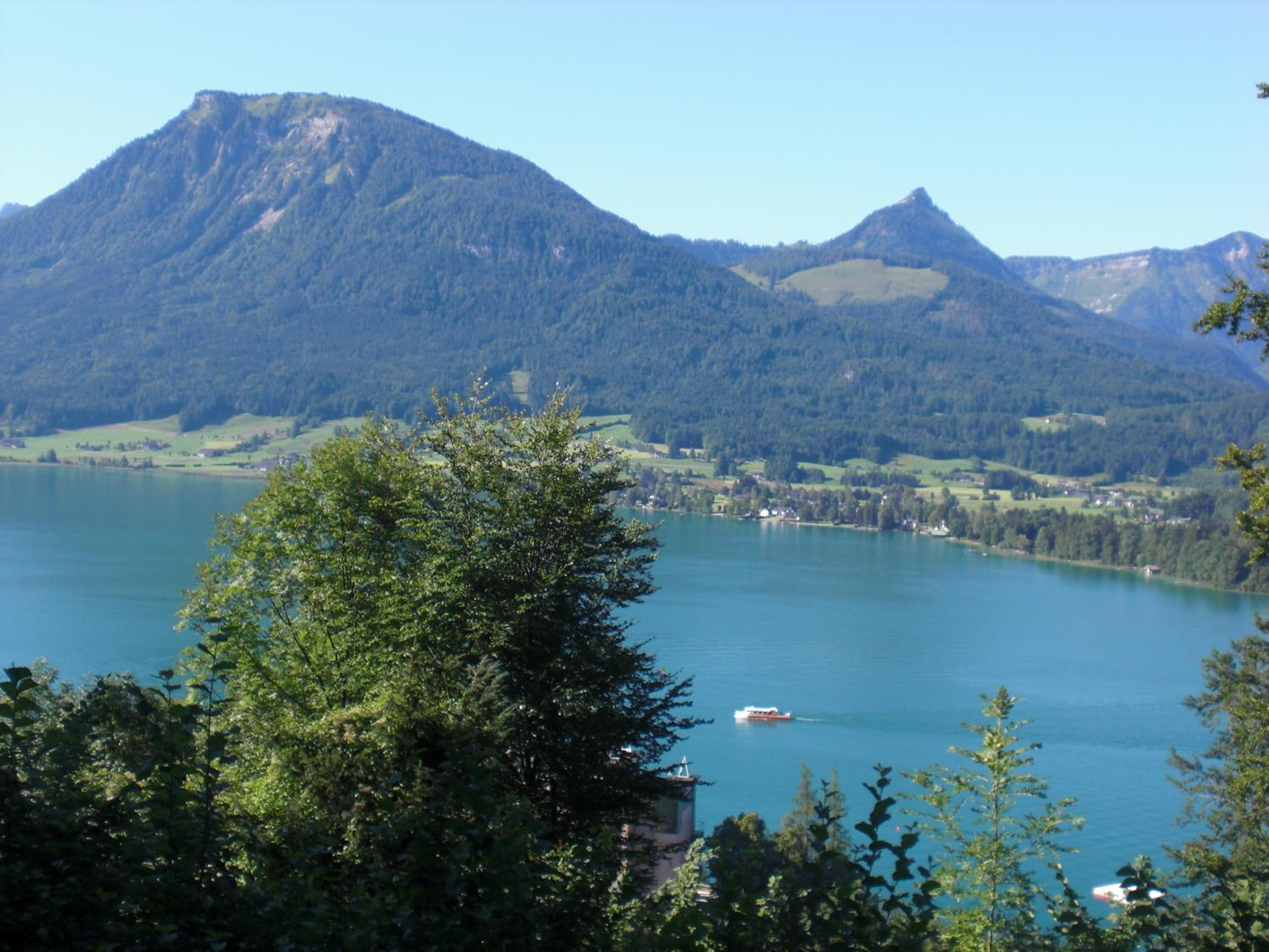 Photo 40