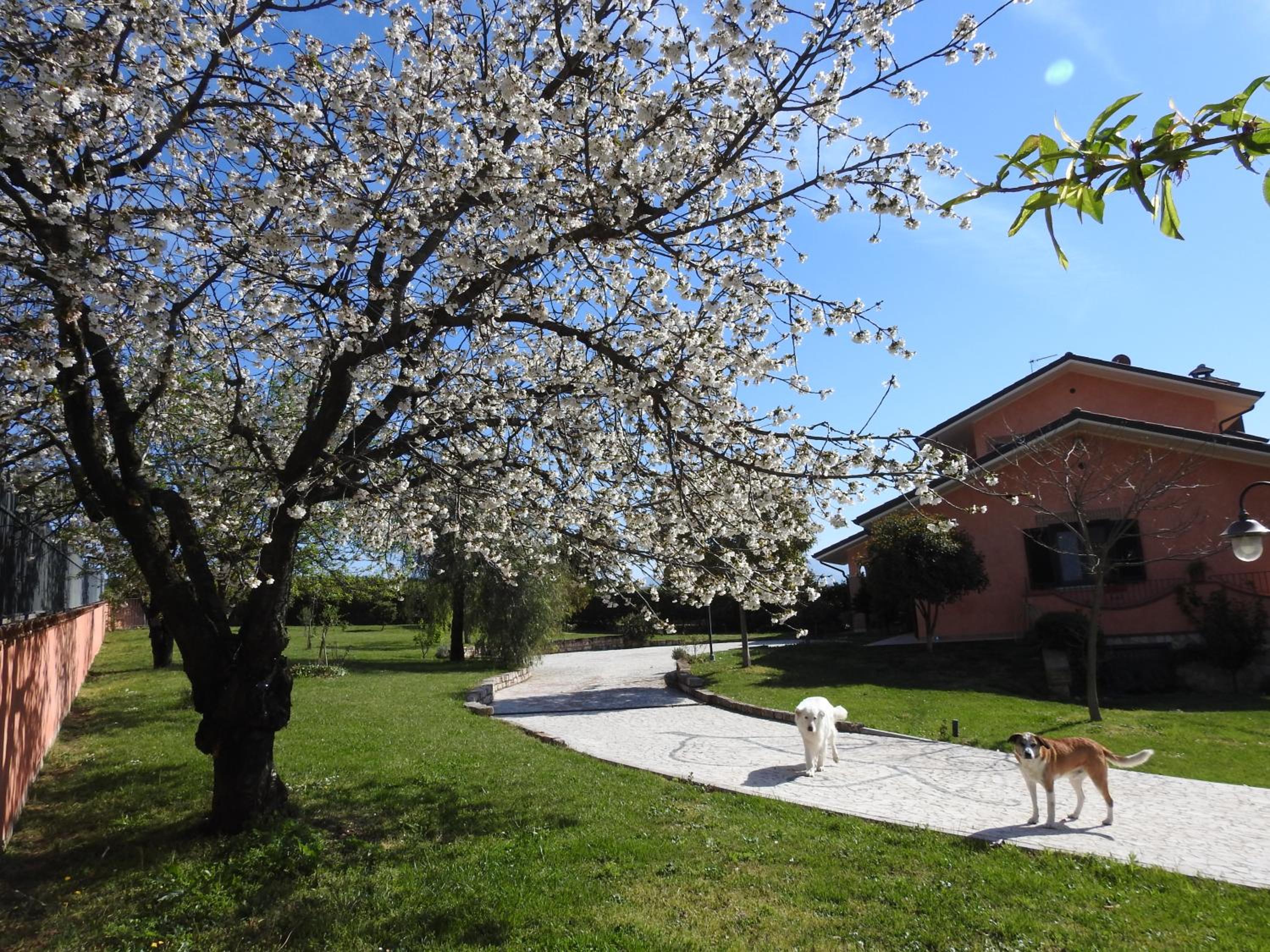 Alloggio Turistico Confortevole Passo Corese photo 3
