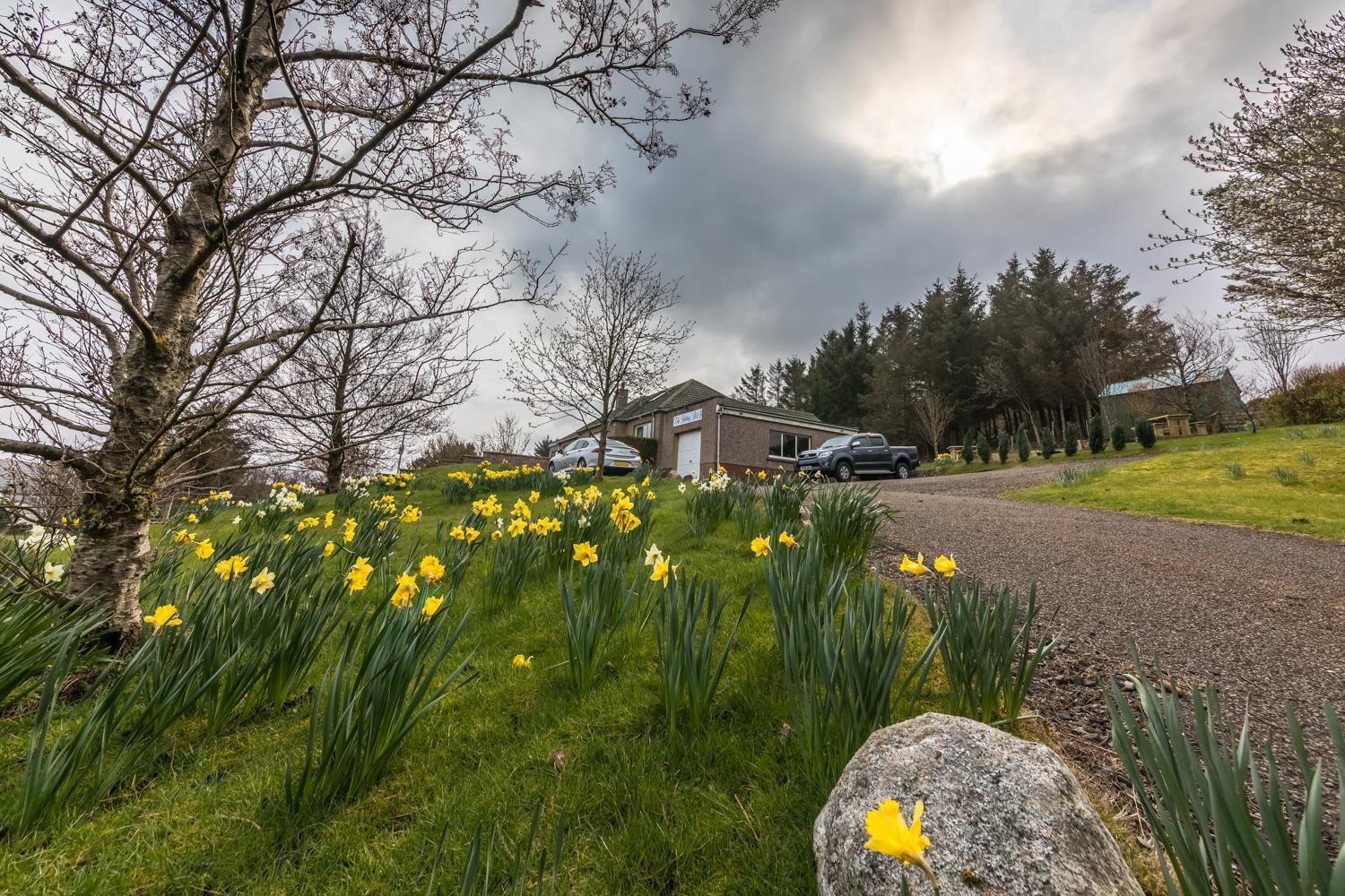The Sheiling B&B - NC 500