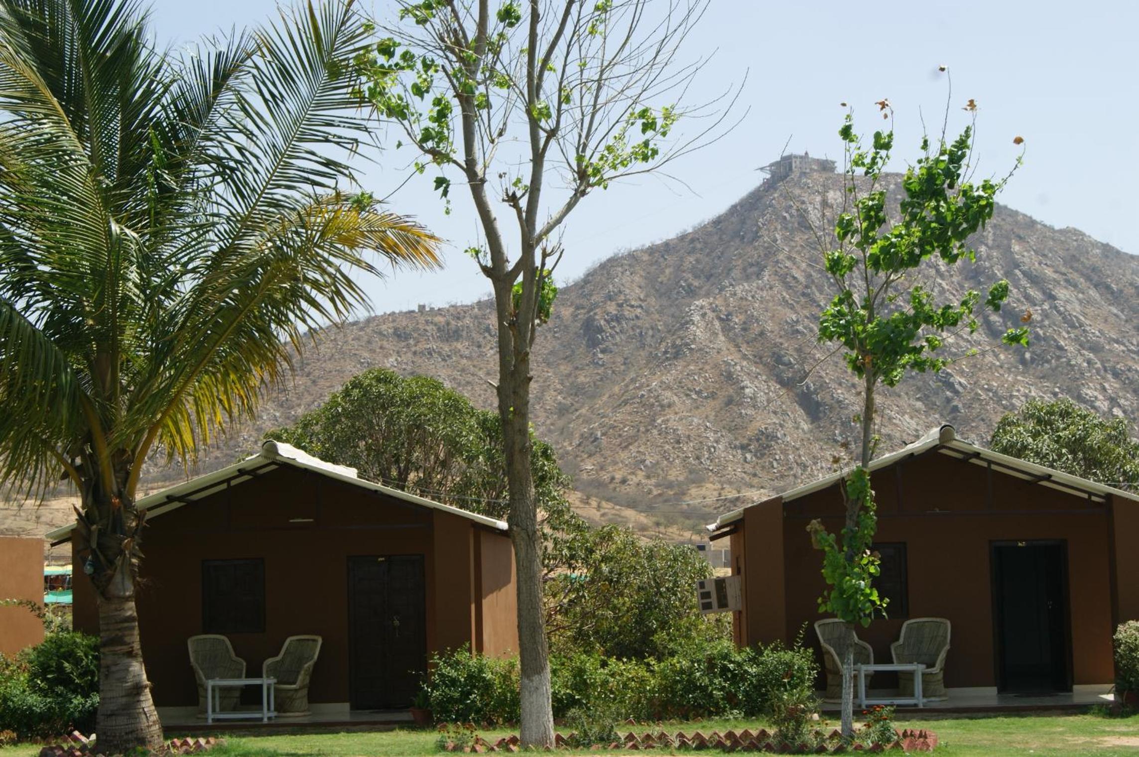 Photo 9