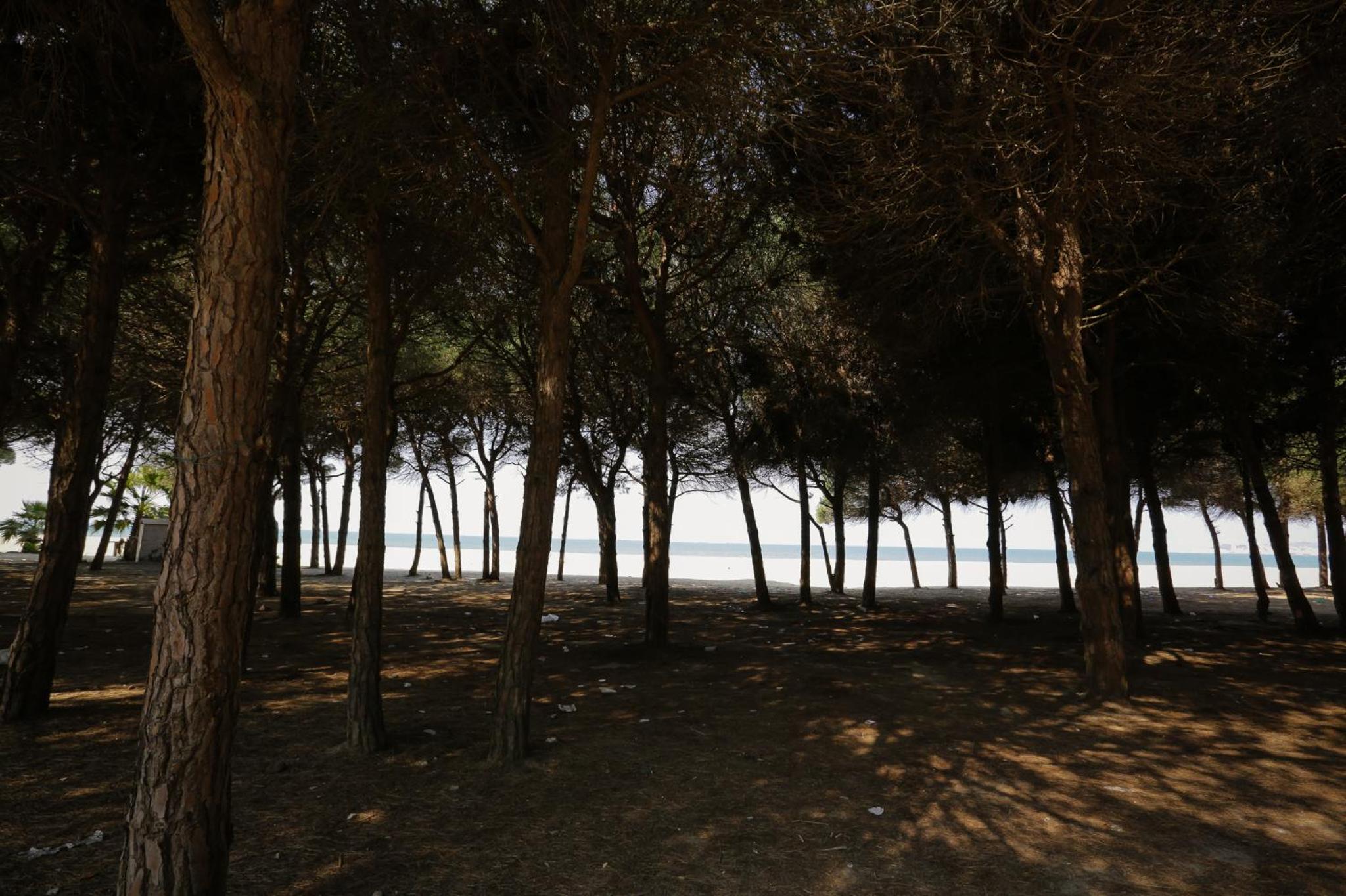 Pine-Tree Apt w/ Private Garden 50 m from the Sea