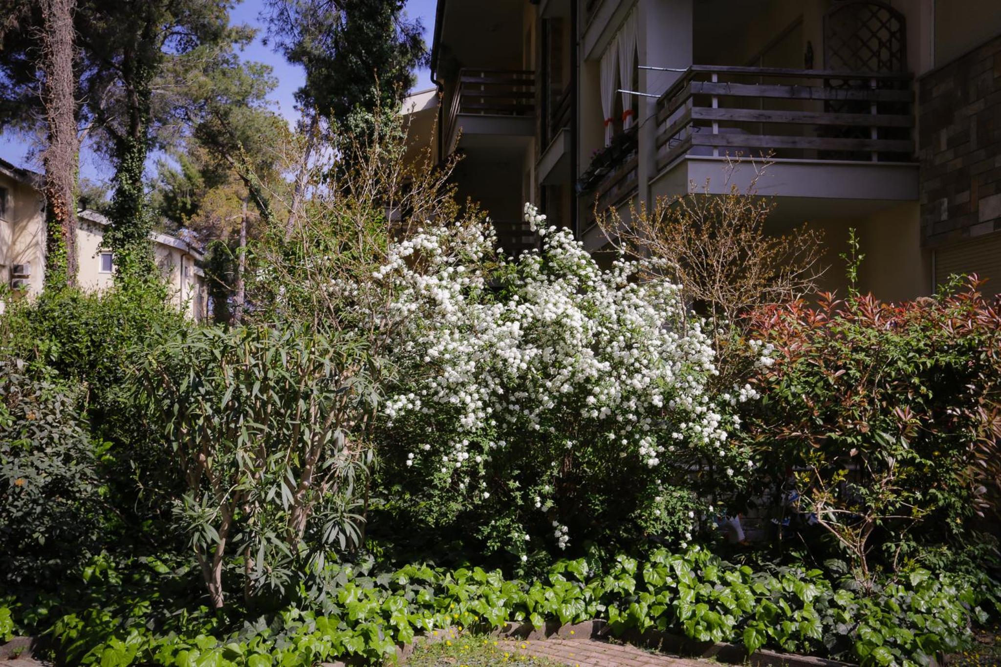 Pine-Tree Apt w/ Private Garden 50 m from the Sea
