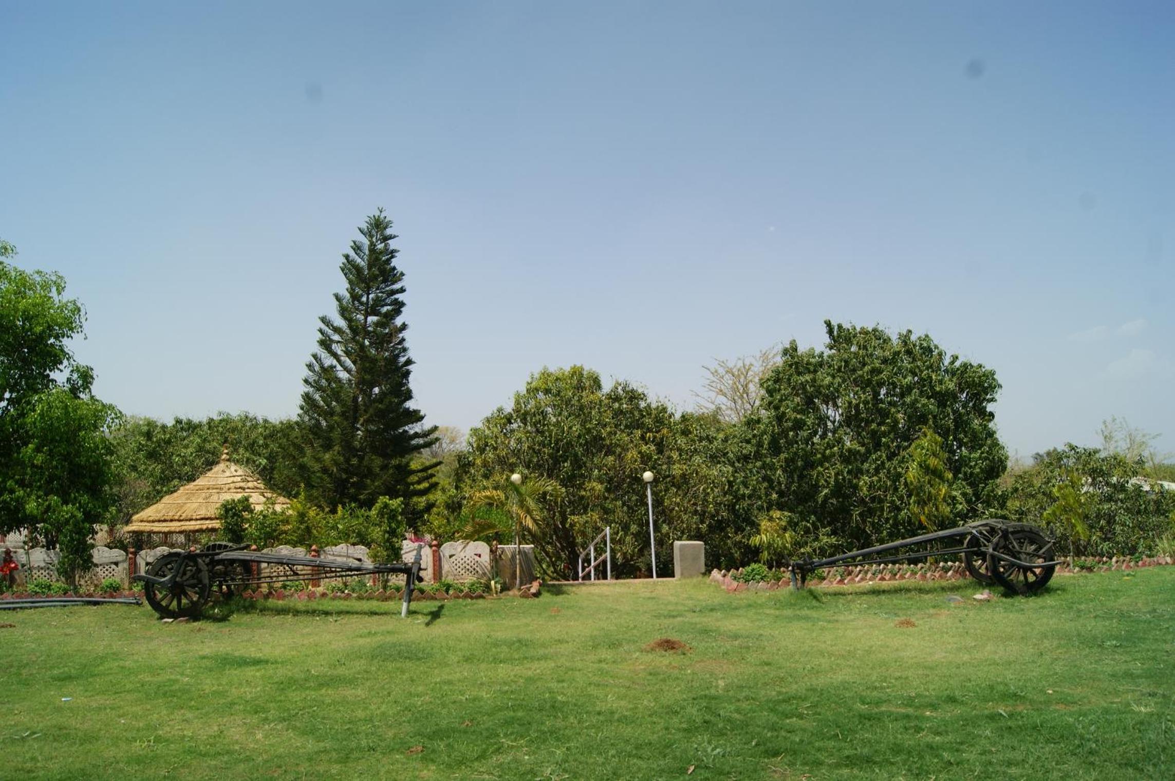 Photo 7