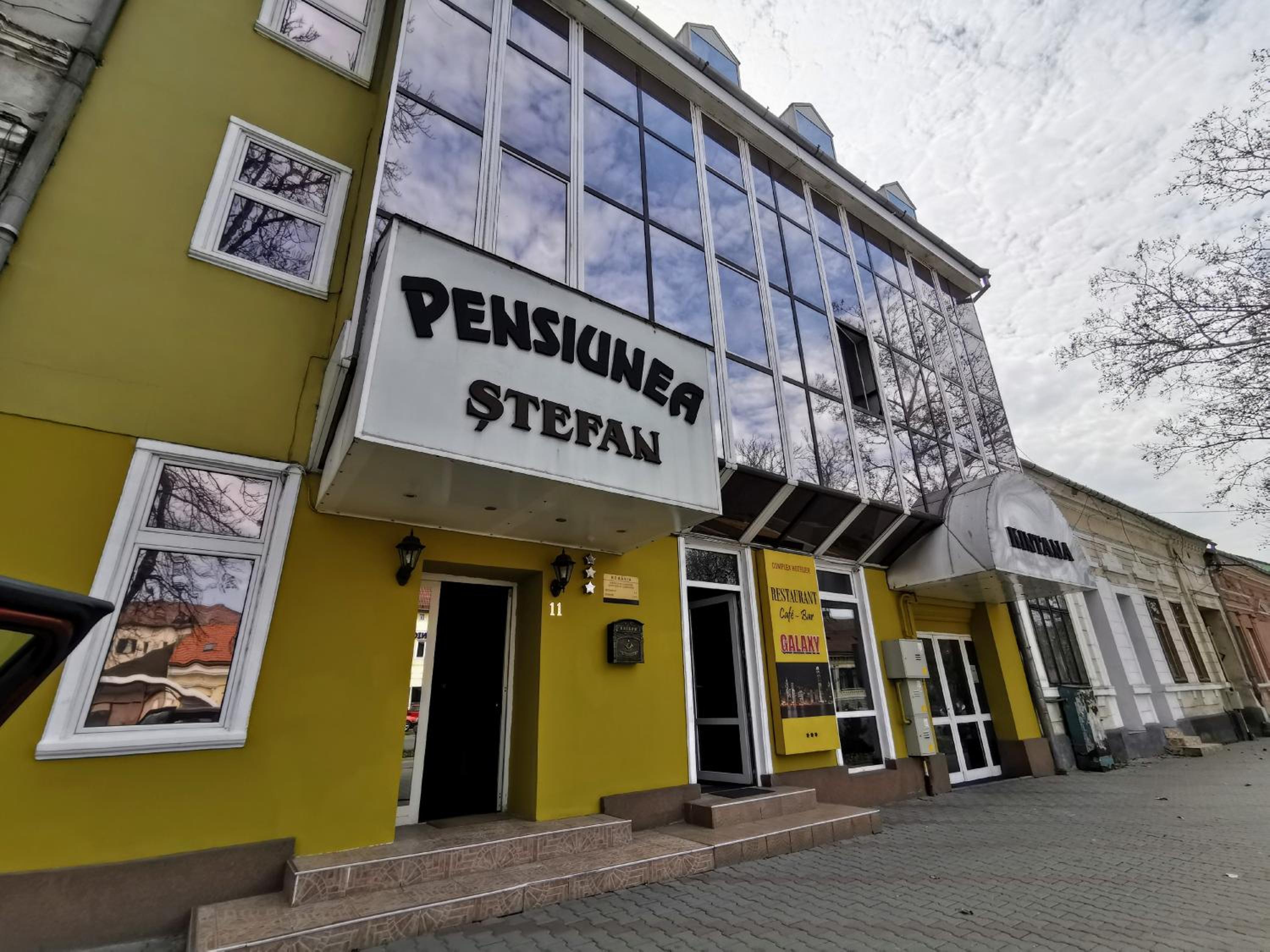 Pensiunea Stefan view 2