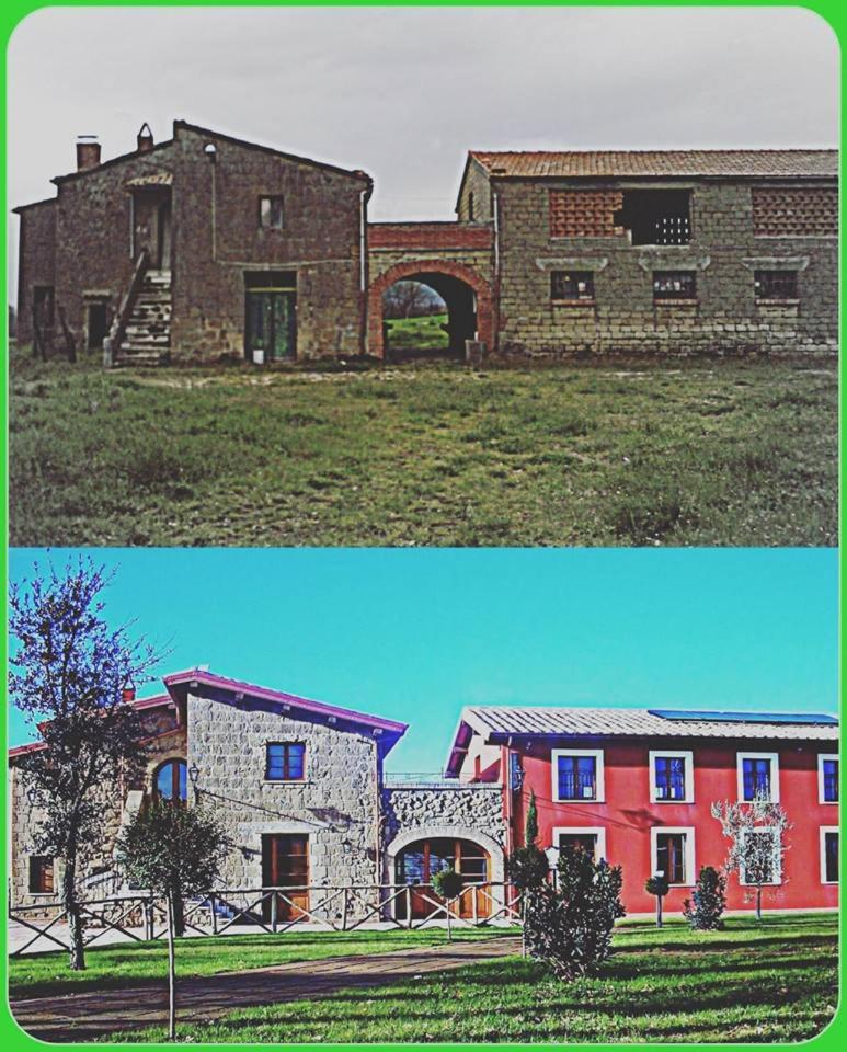 Agriturismo Podere Del Lepre, Billede 105