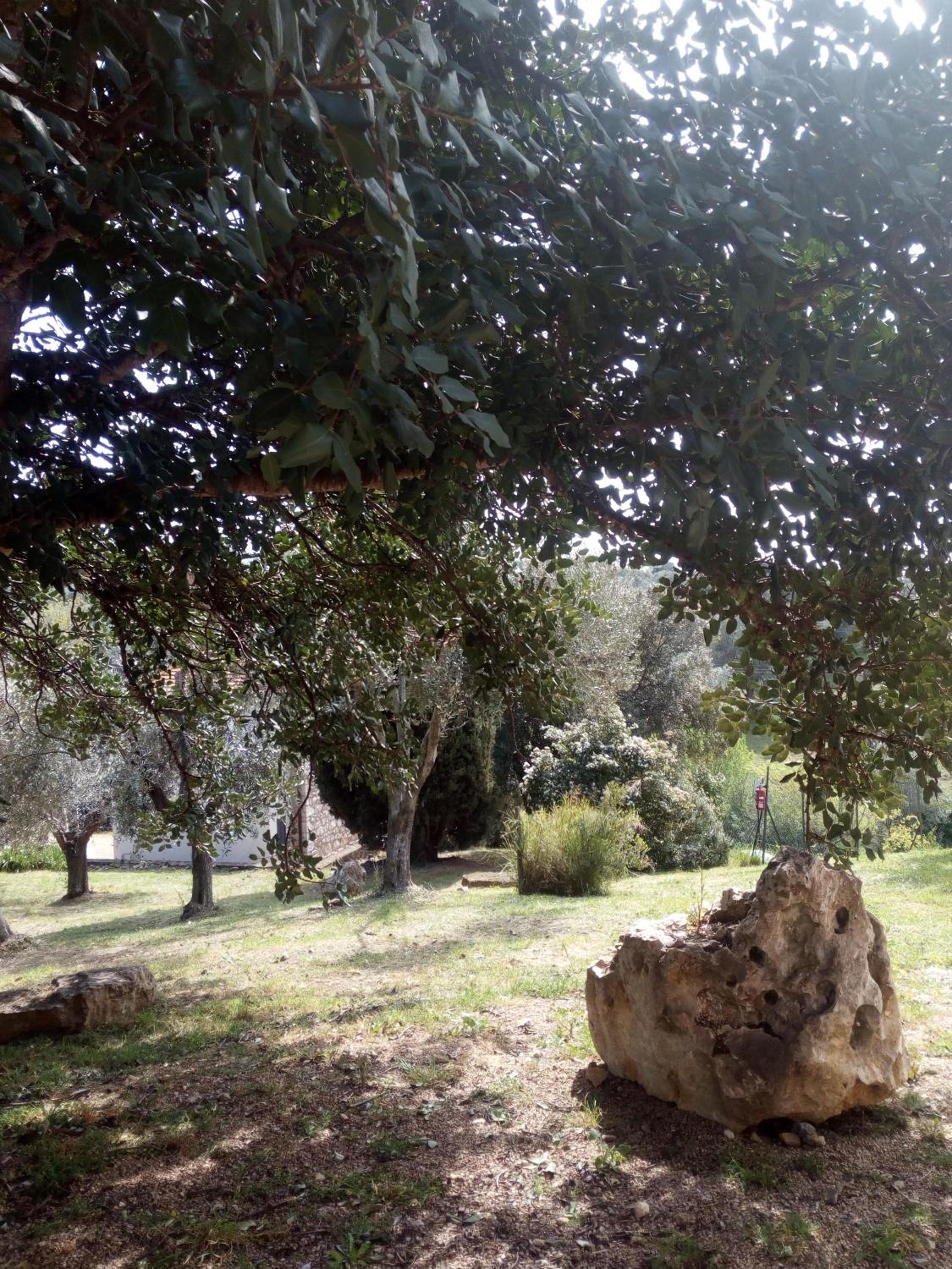 Photo 43
