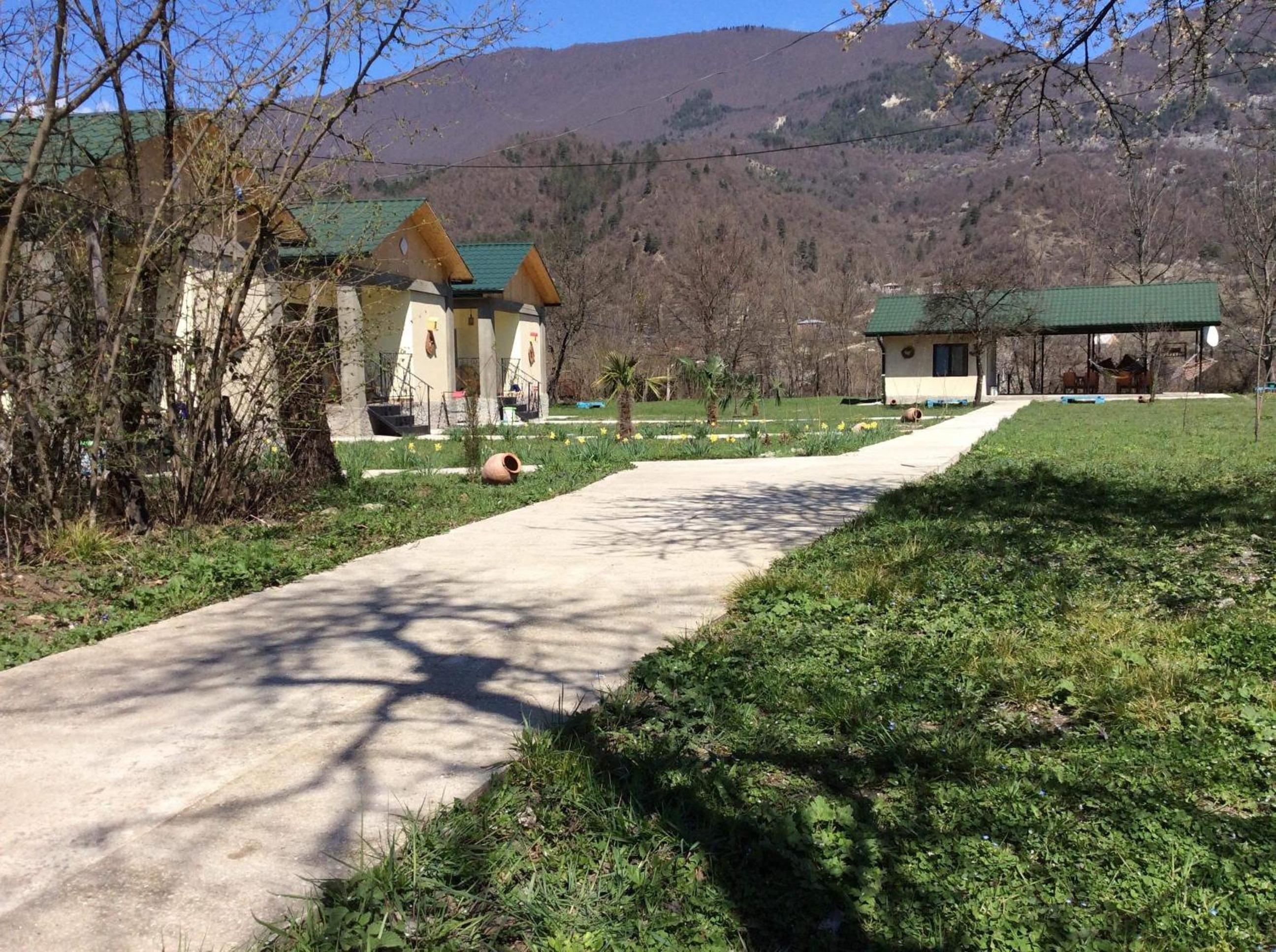 Photo 51