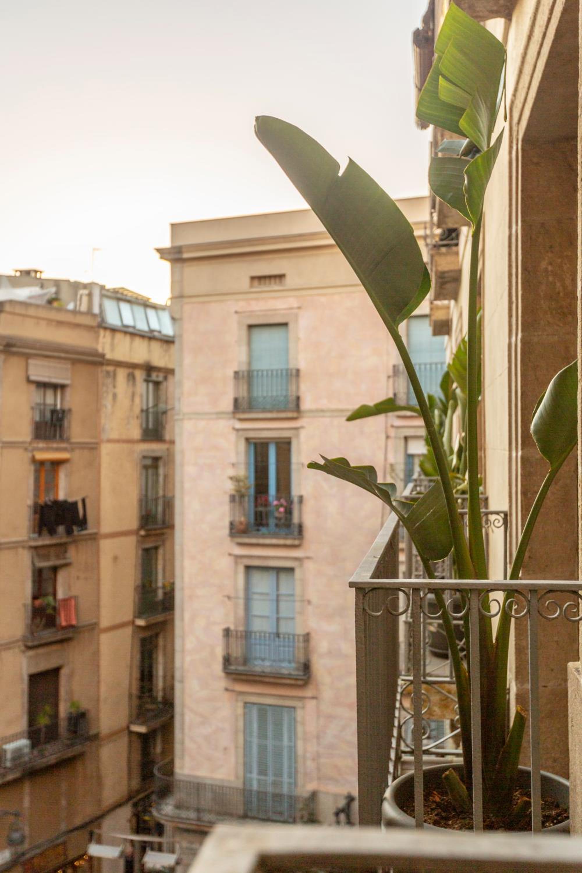 Hostal Sol y K