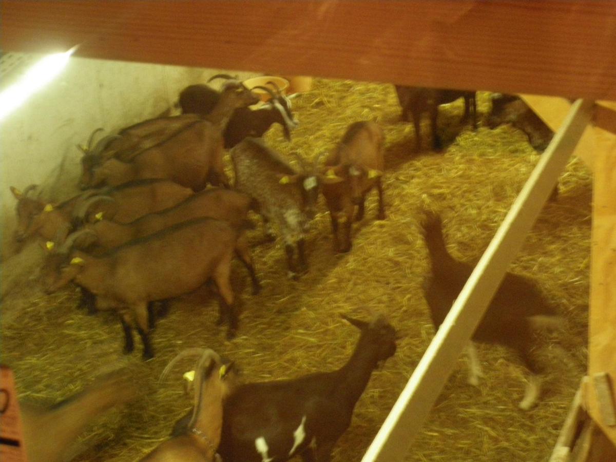 FERME IM-BERG view 5