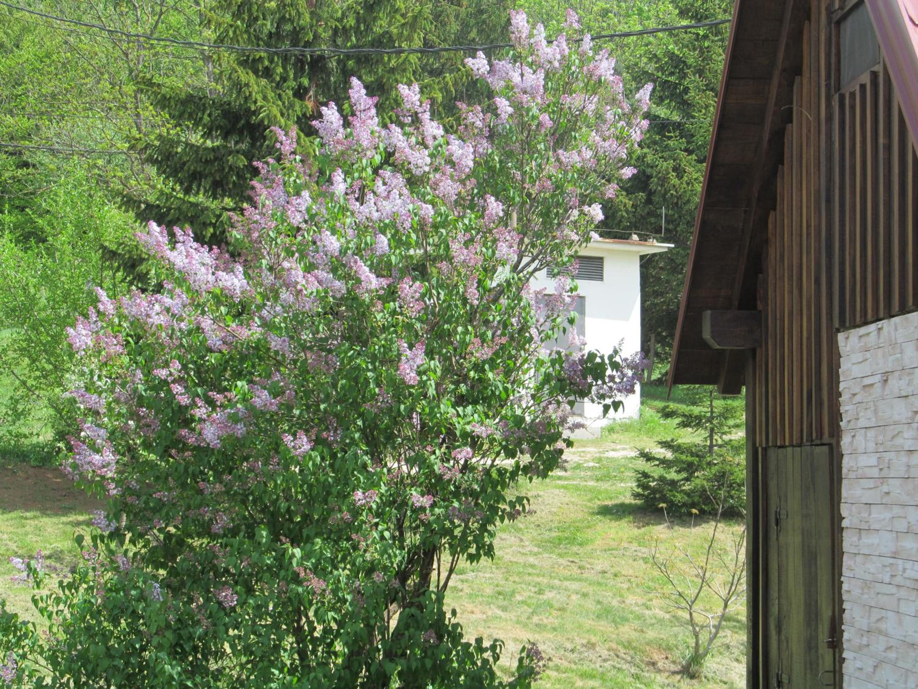 Photo 39