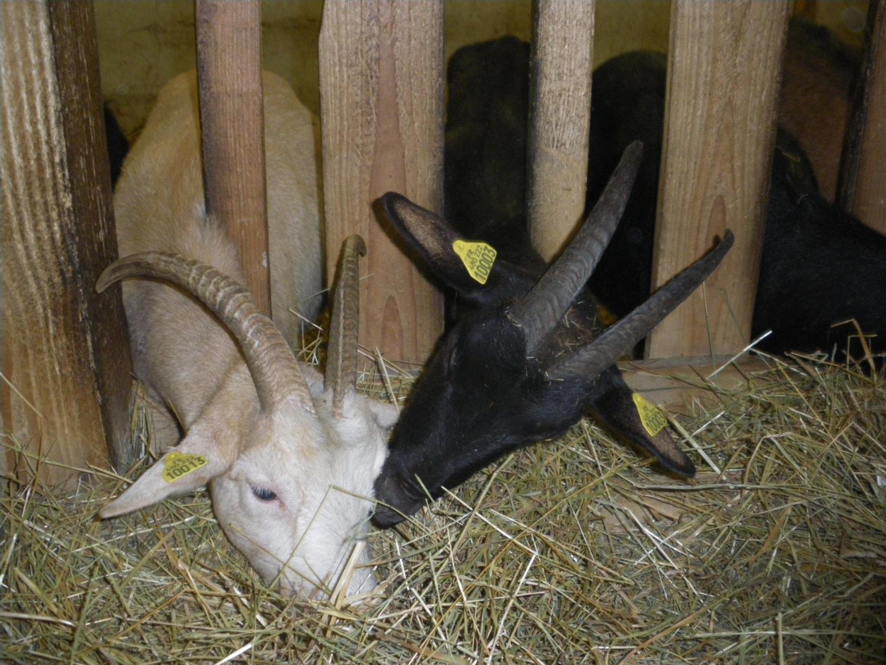 FERME IM-BERG view 2