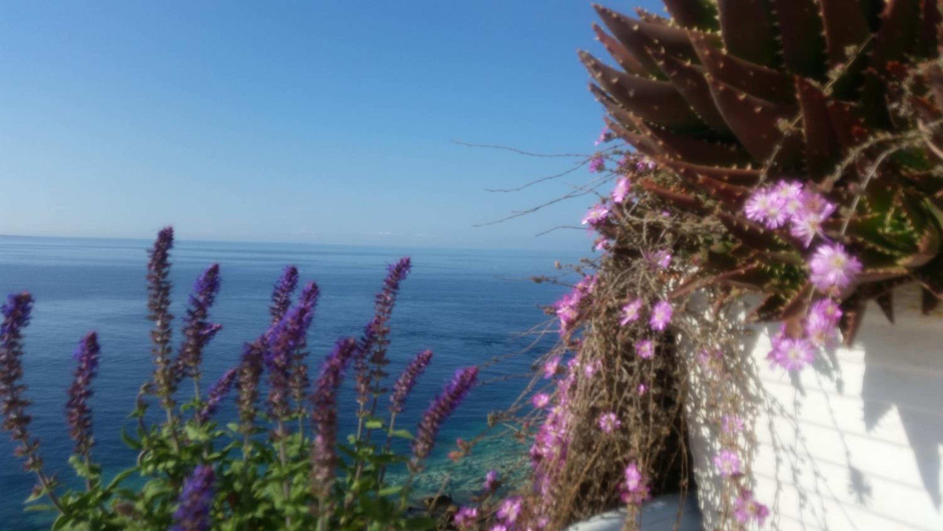 B&B Punta Cutieri