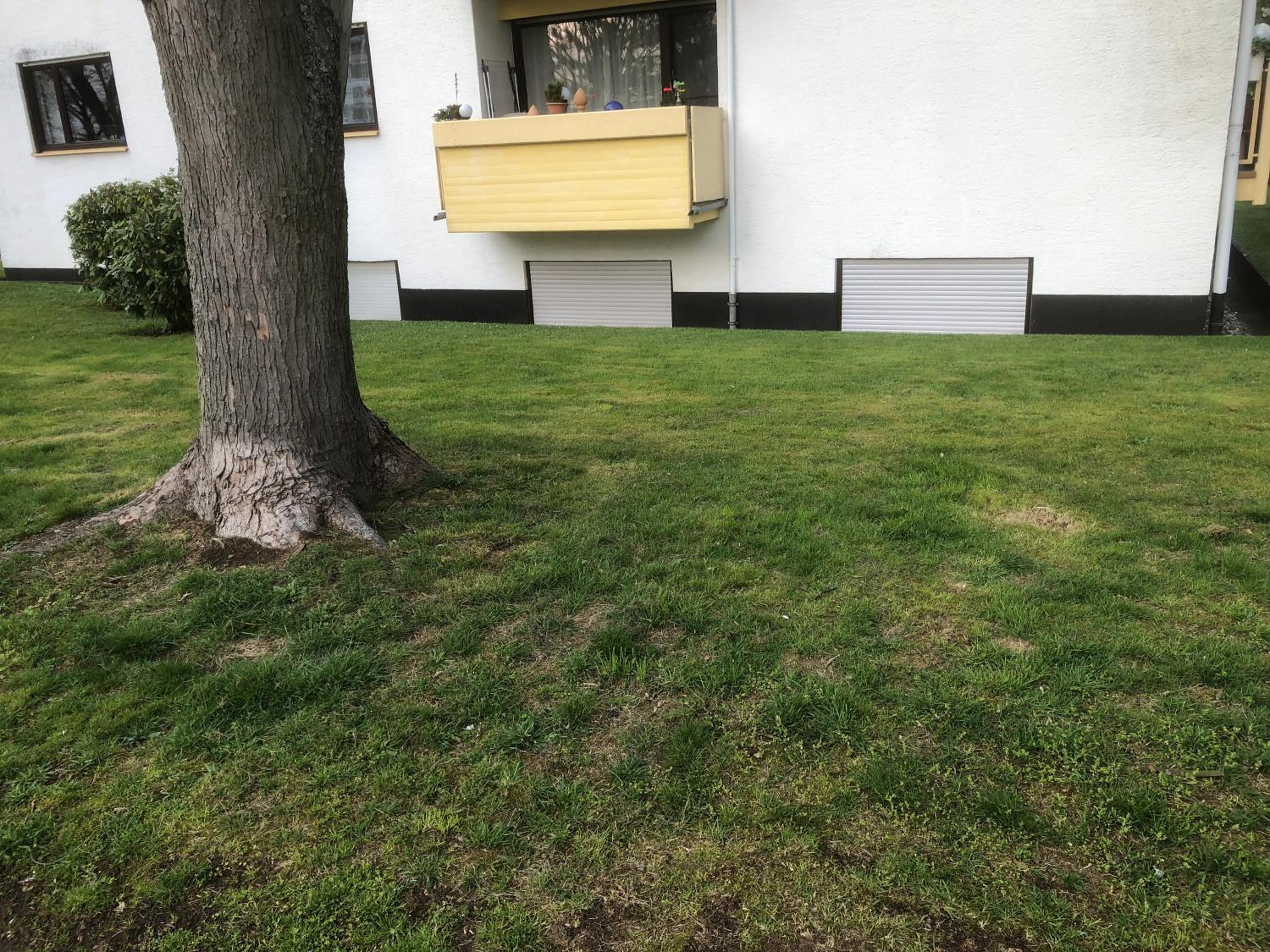 Hotel Ferienwohnung Hecker - Image 1