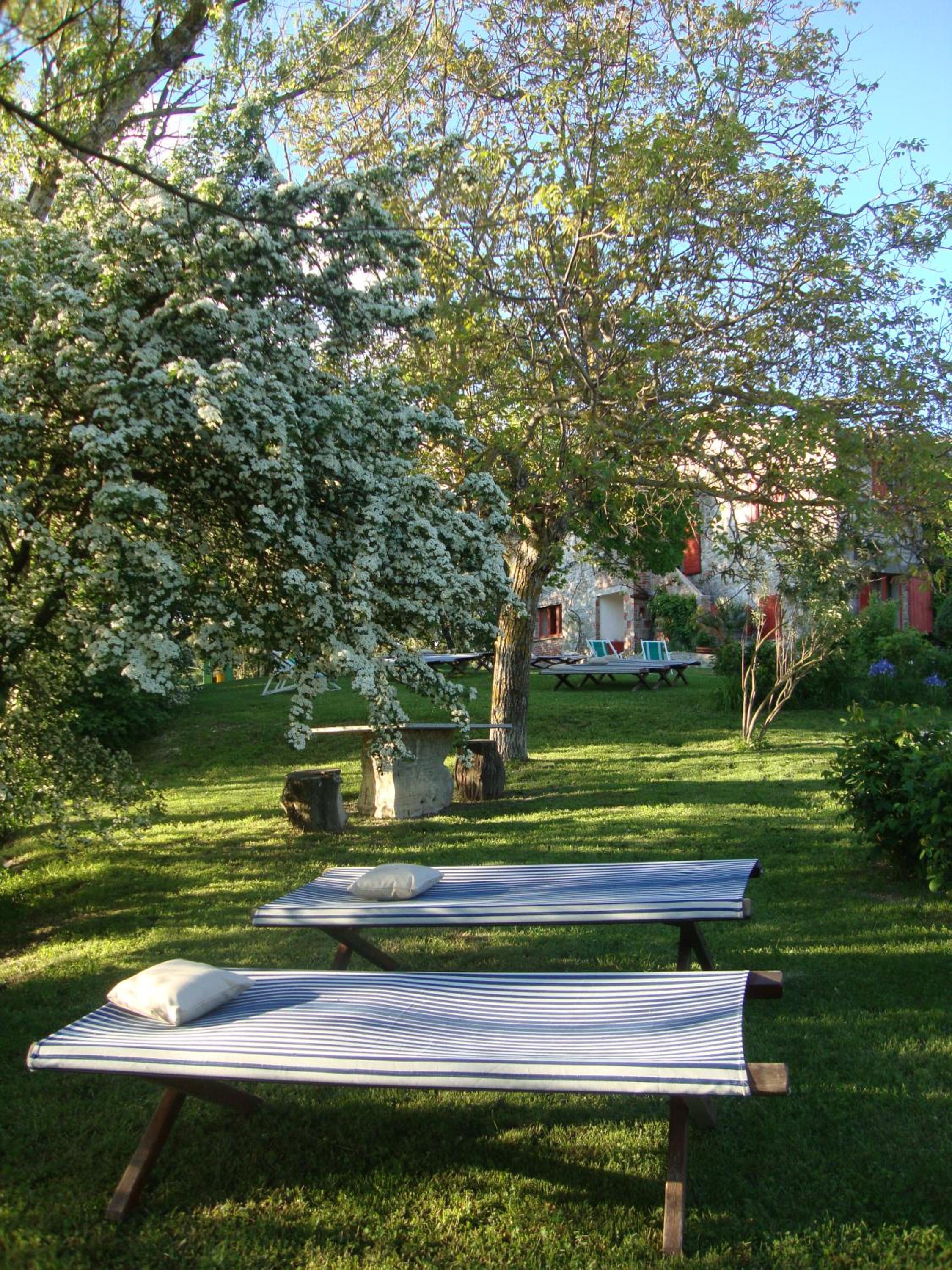 Photo 29