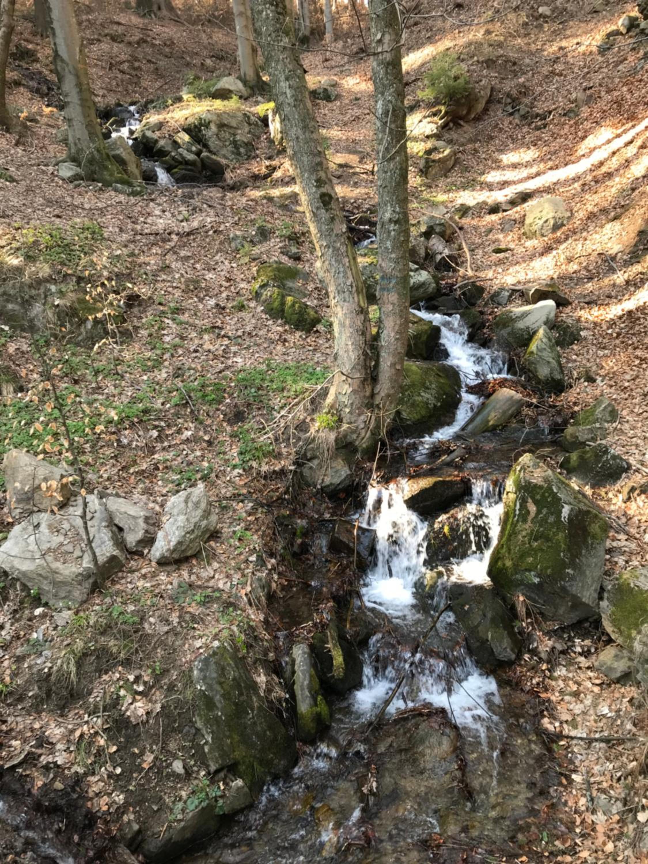 Photo 26