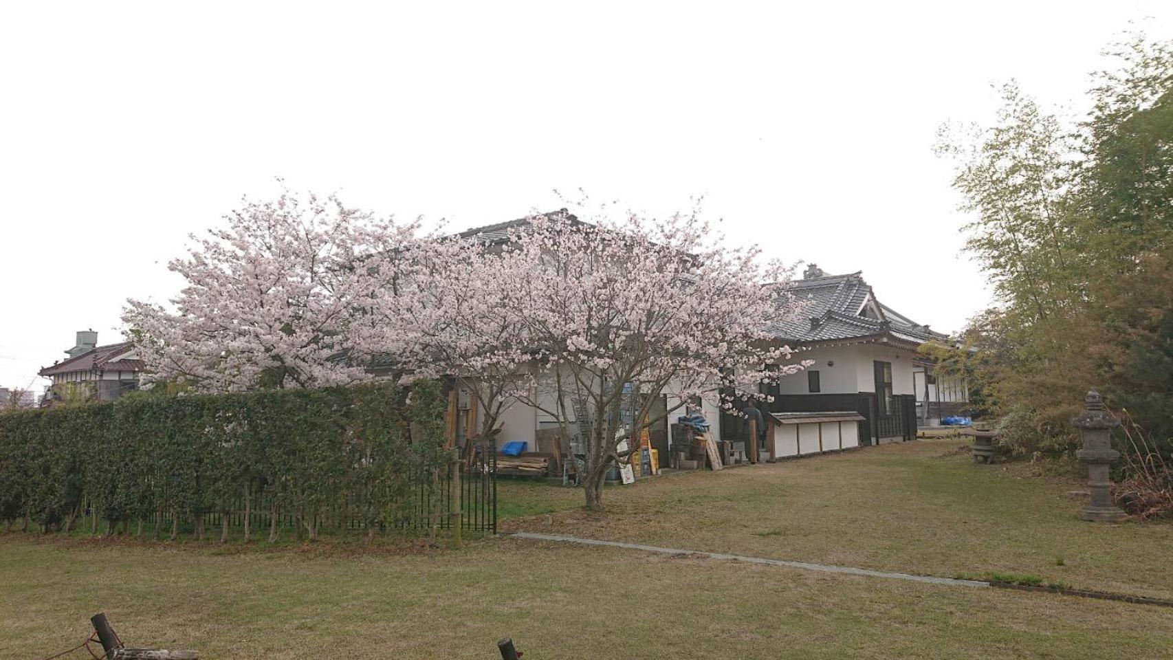Photo 27