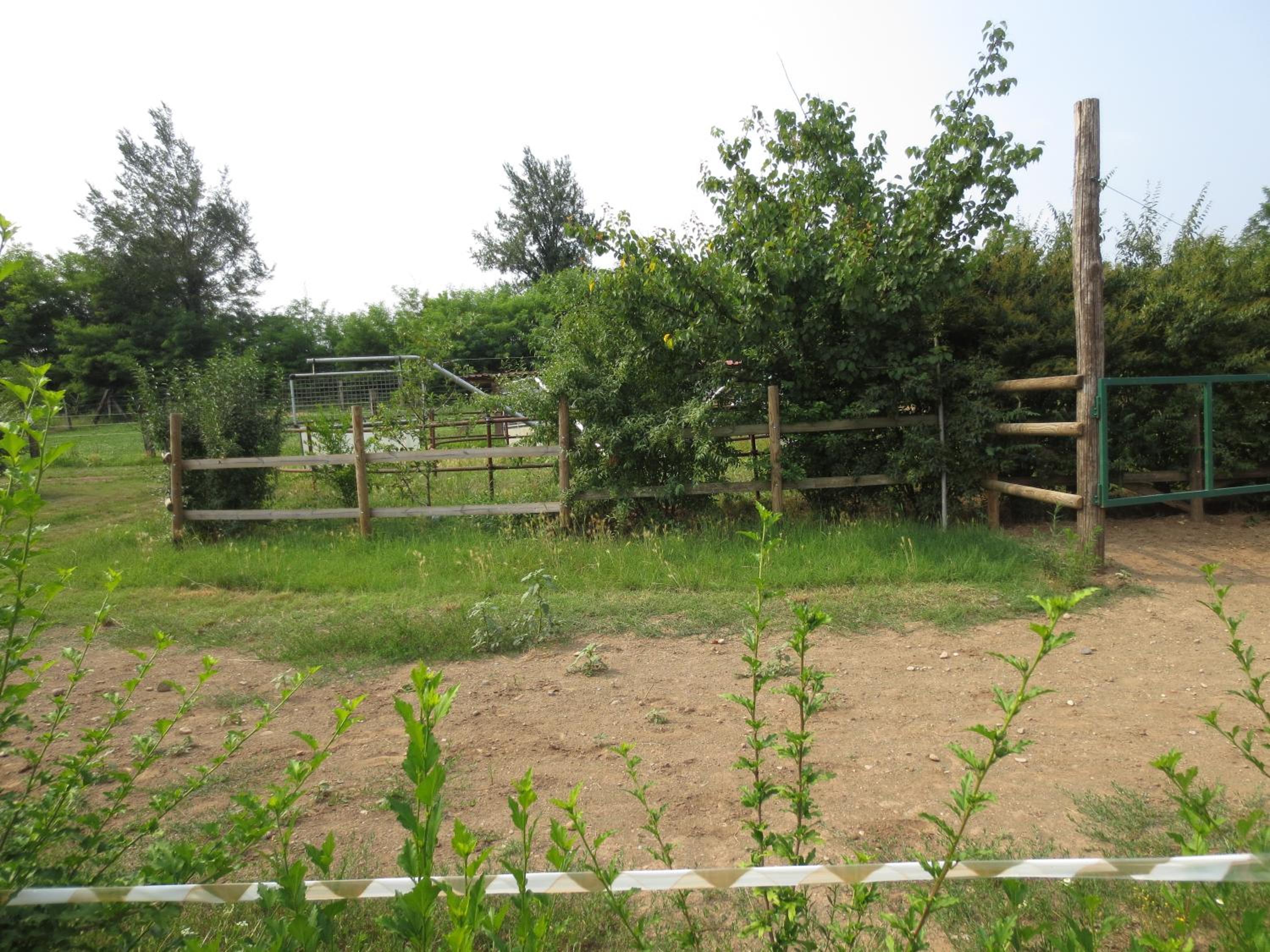 Agriturismo Parco Del Chiese, photo 11
