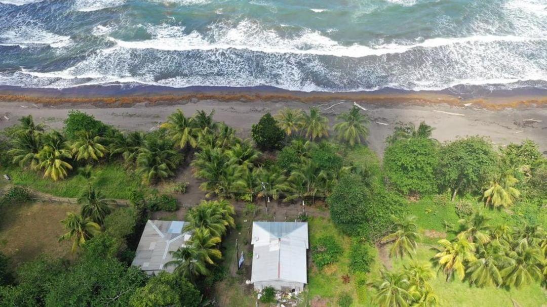 Casa turtle Bogue