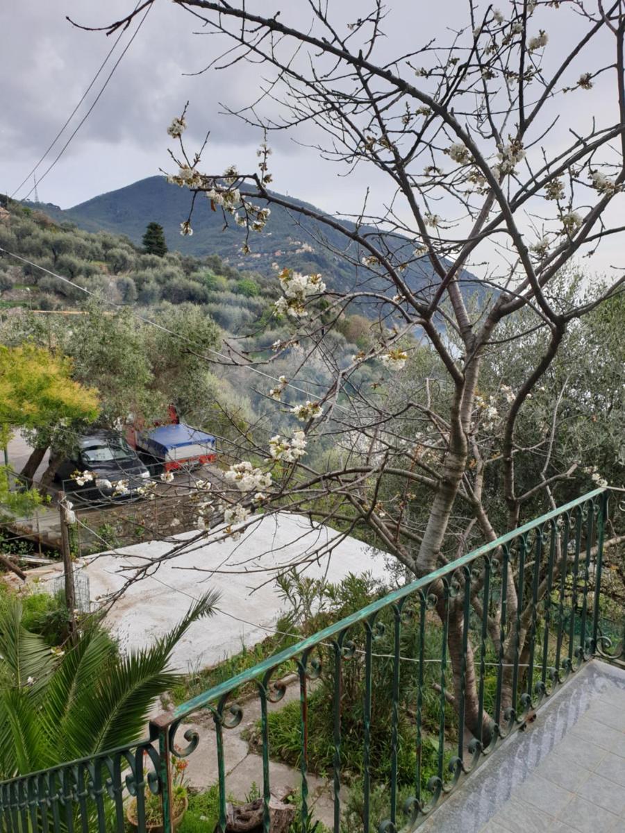 Villa San Prospero