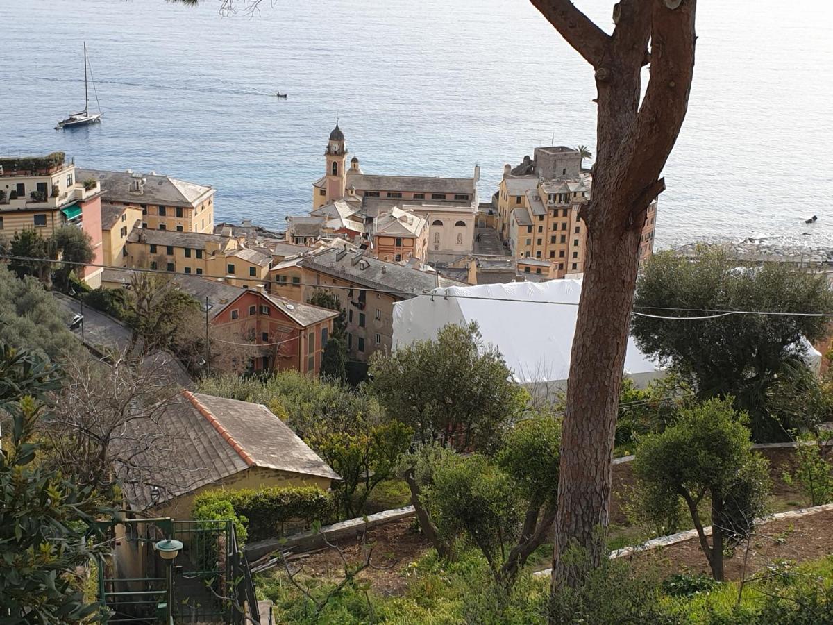 Villa San Prospero