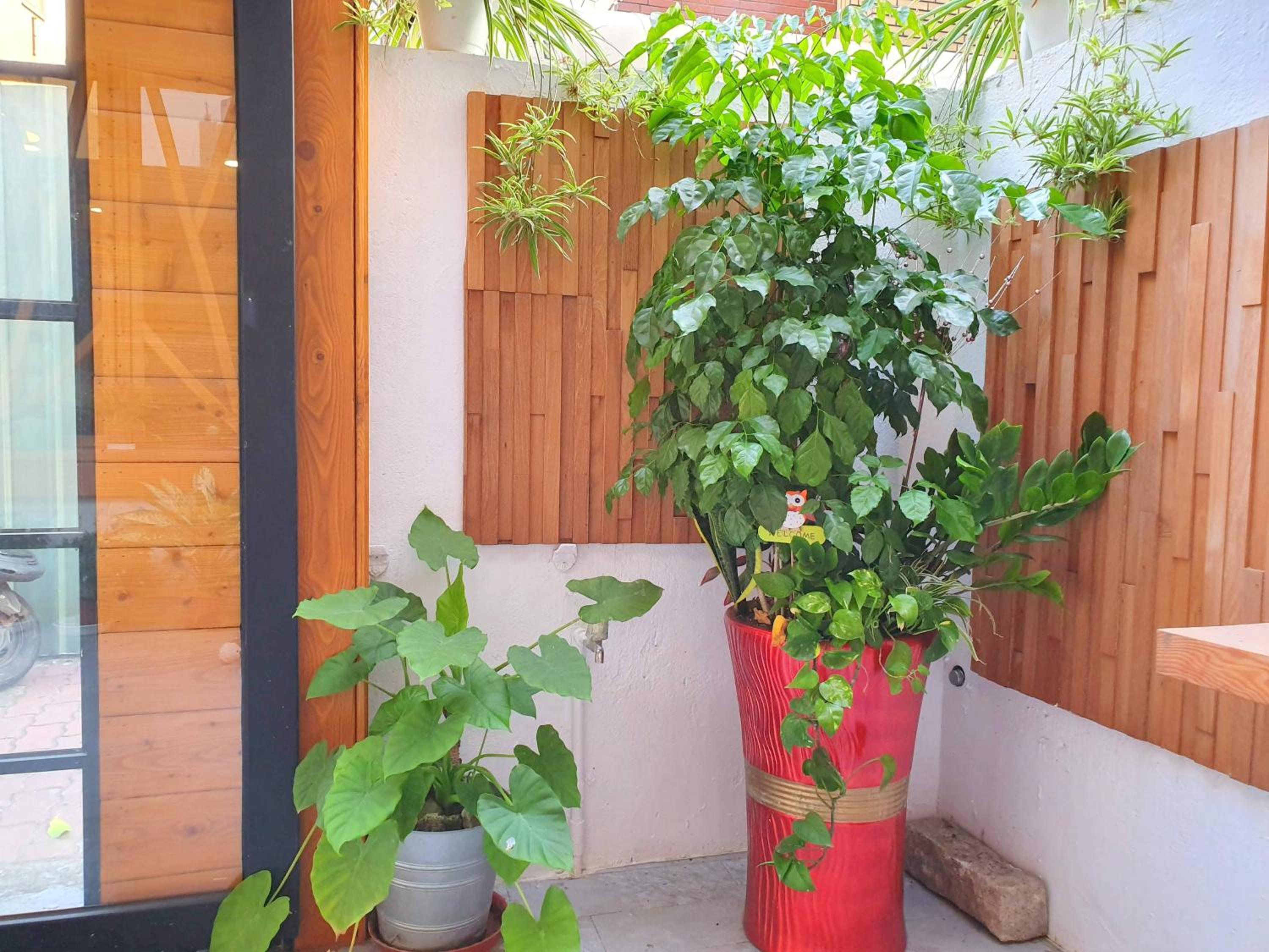 Honey House Tainan