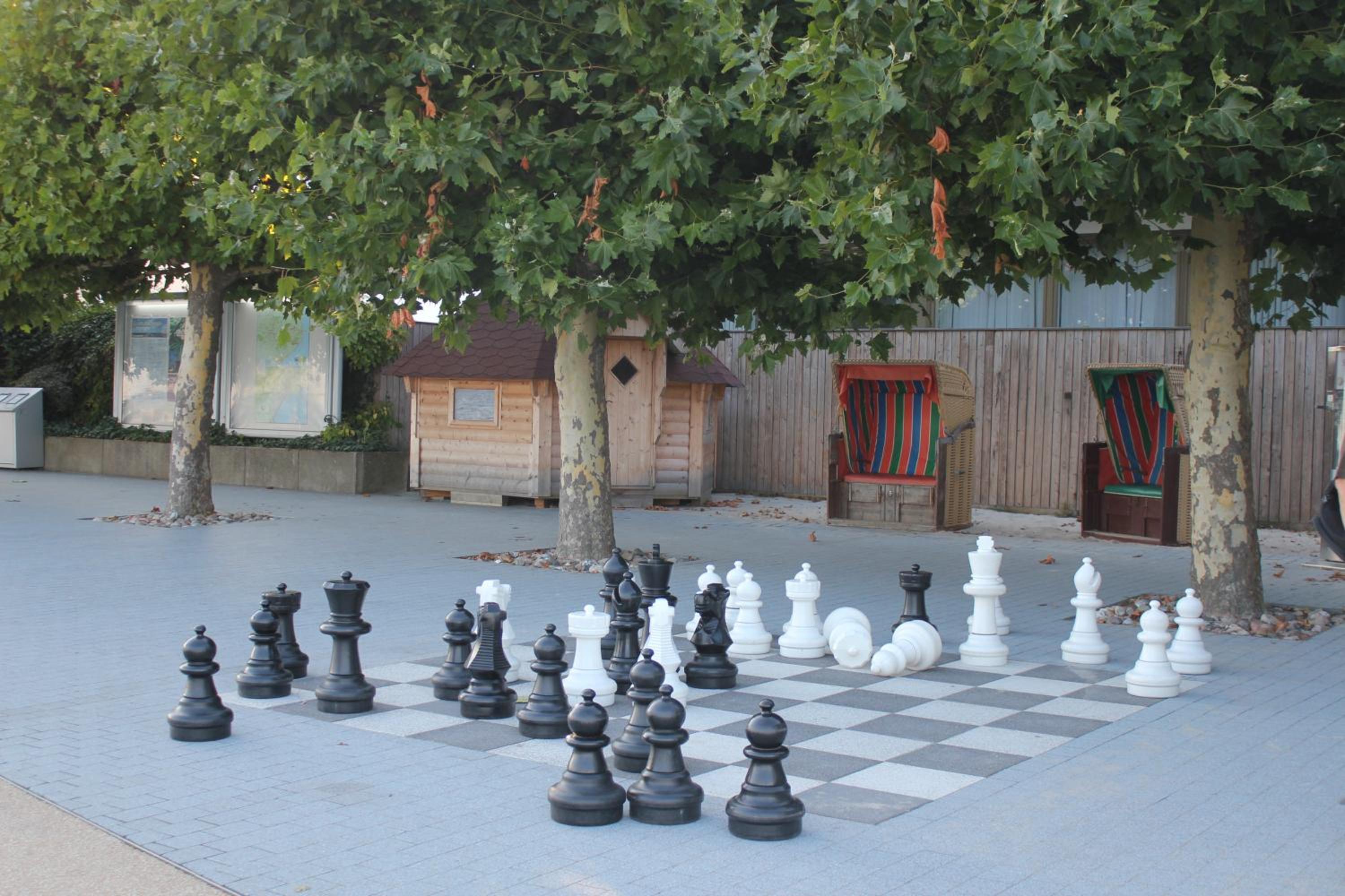 Photo 27