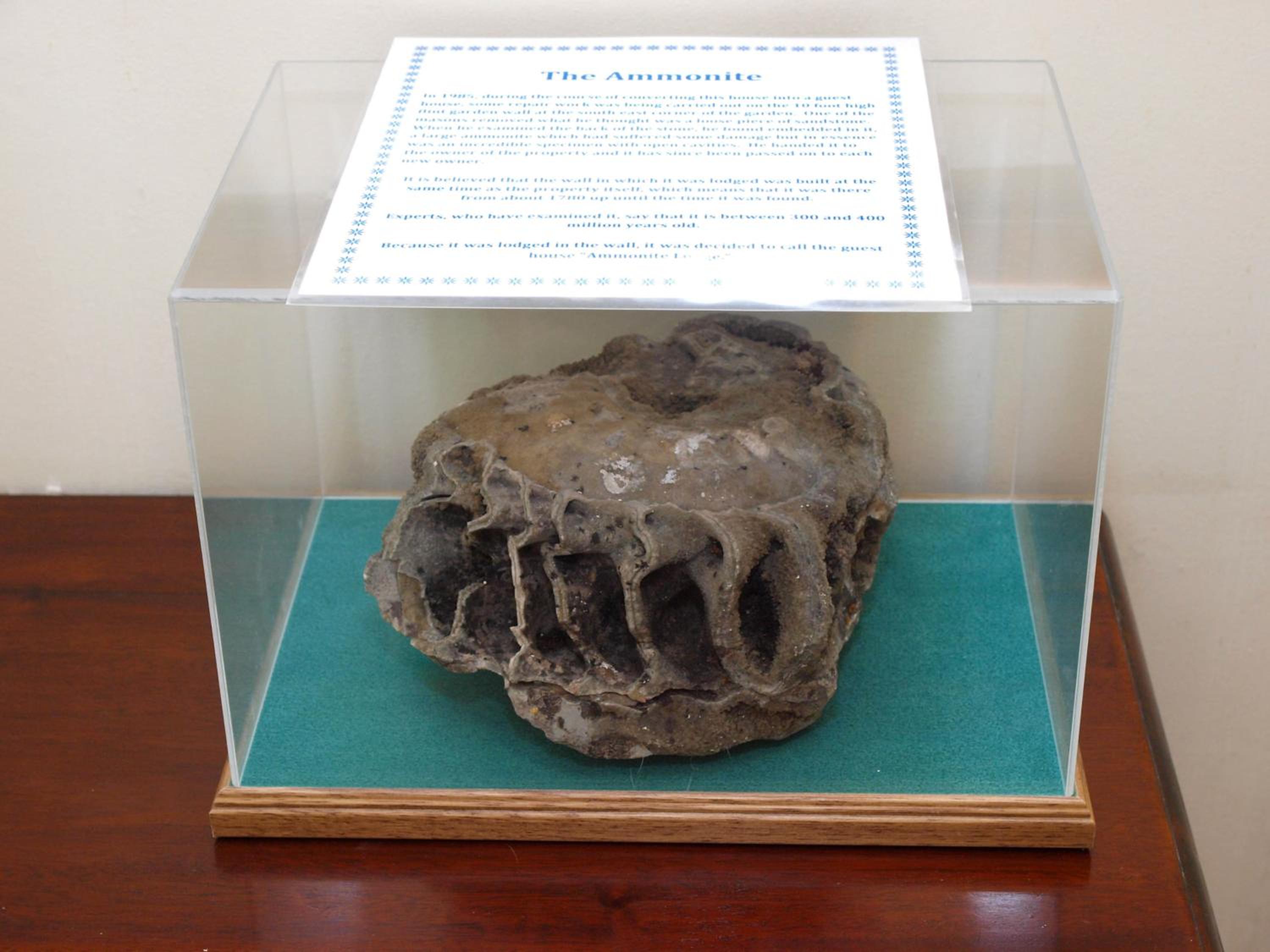 Ammonite Lodge